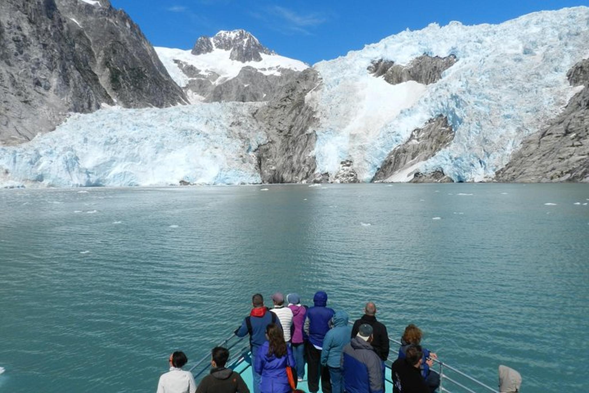 Seward Glacier and Wildlife Tour - Image 2