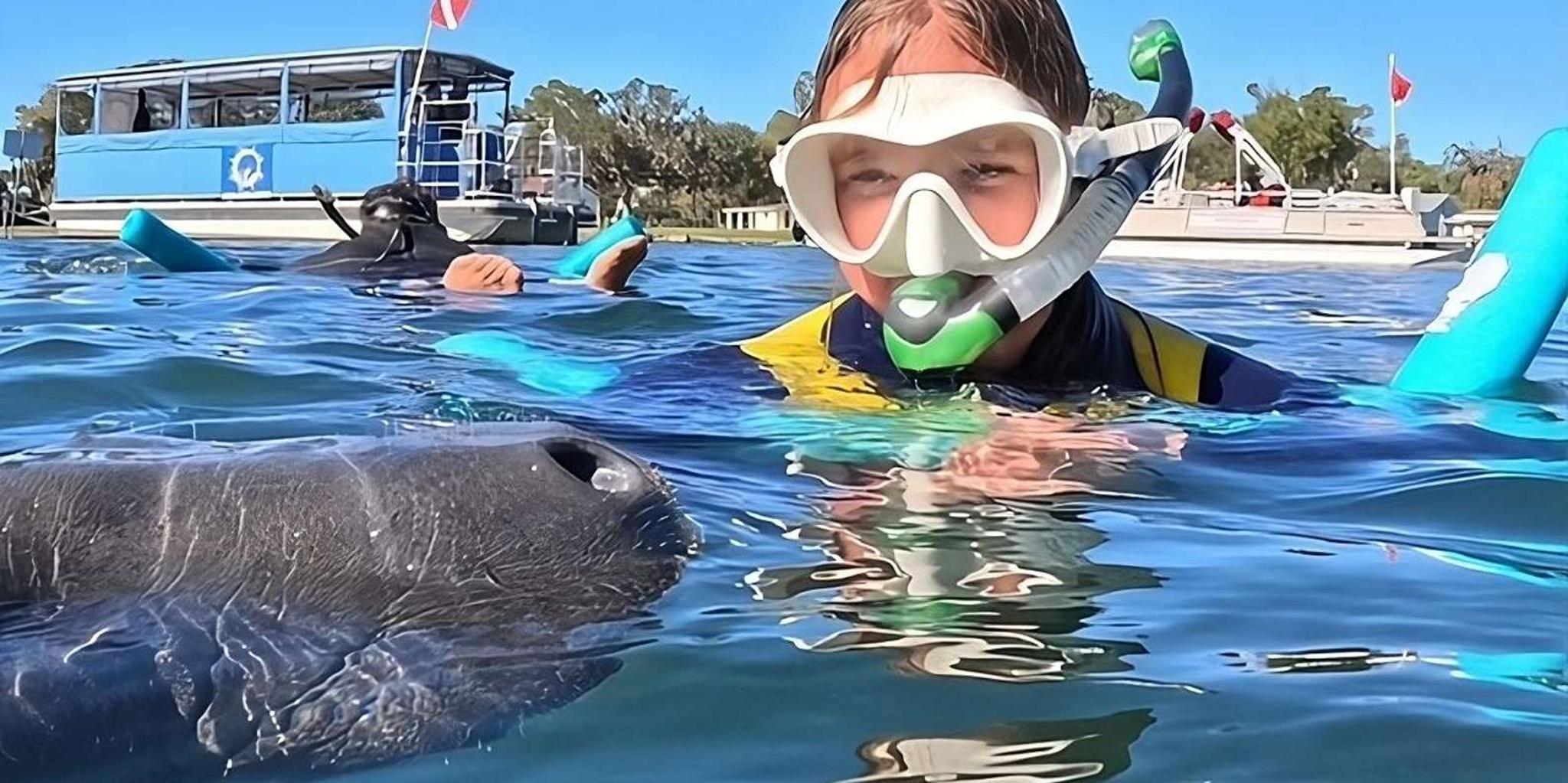 Crystal River Manatee Snorkeling Tour 3 hr - Image 1