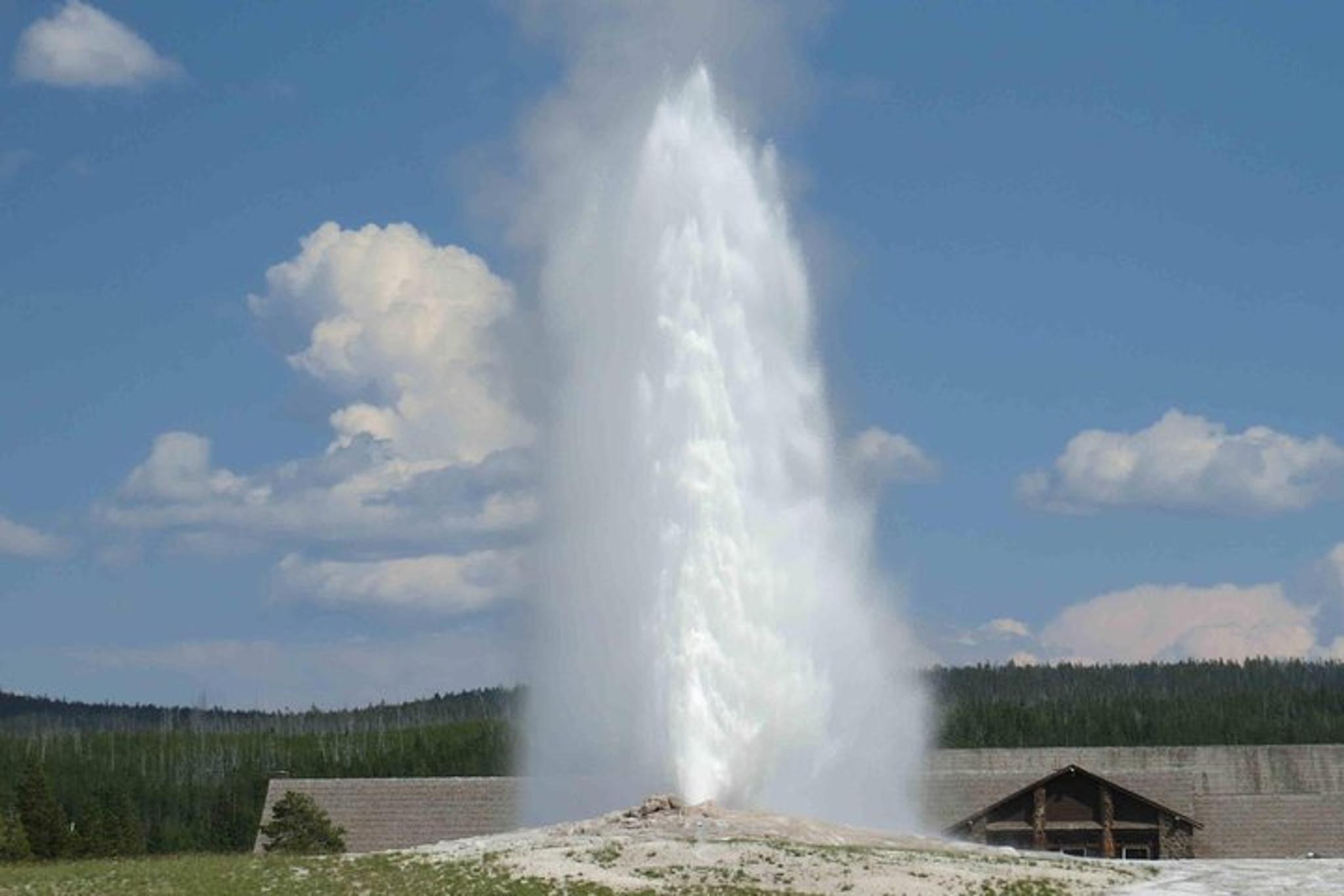 Yellowstone National Park Private Lower Loop Tour - Image 3