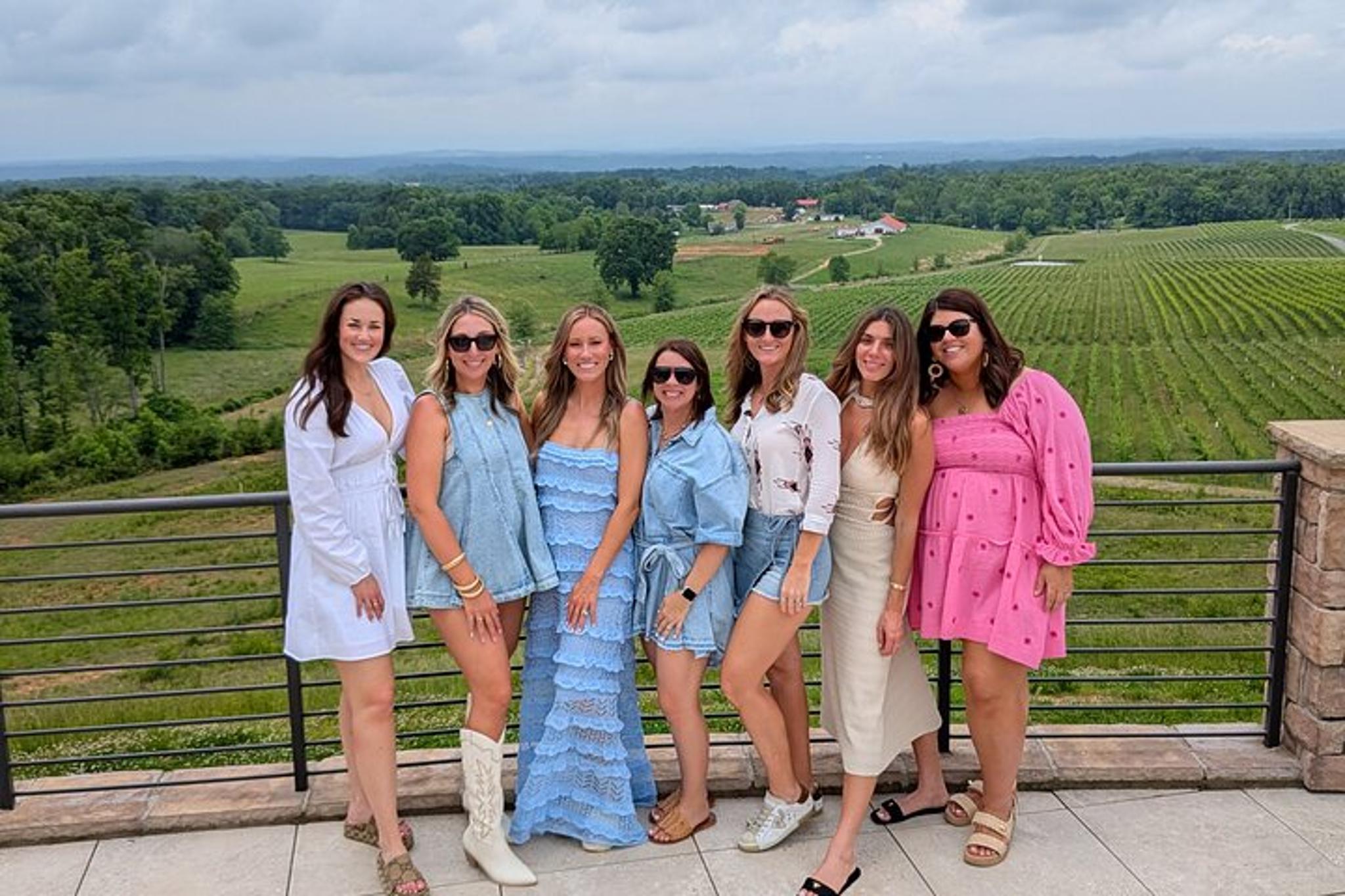 Yadkin Valley Wine Tour - Image 3