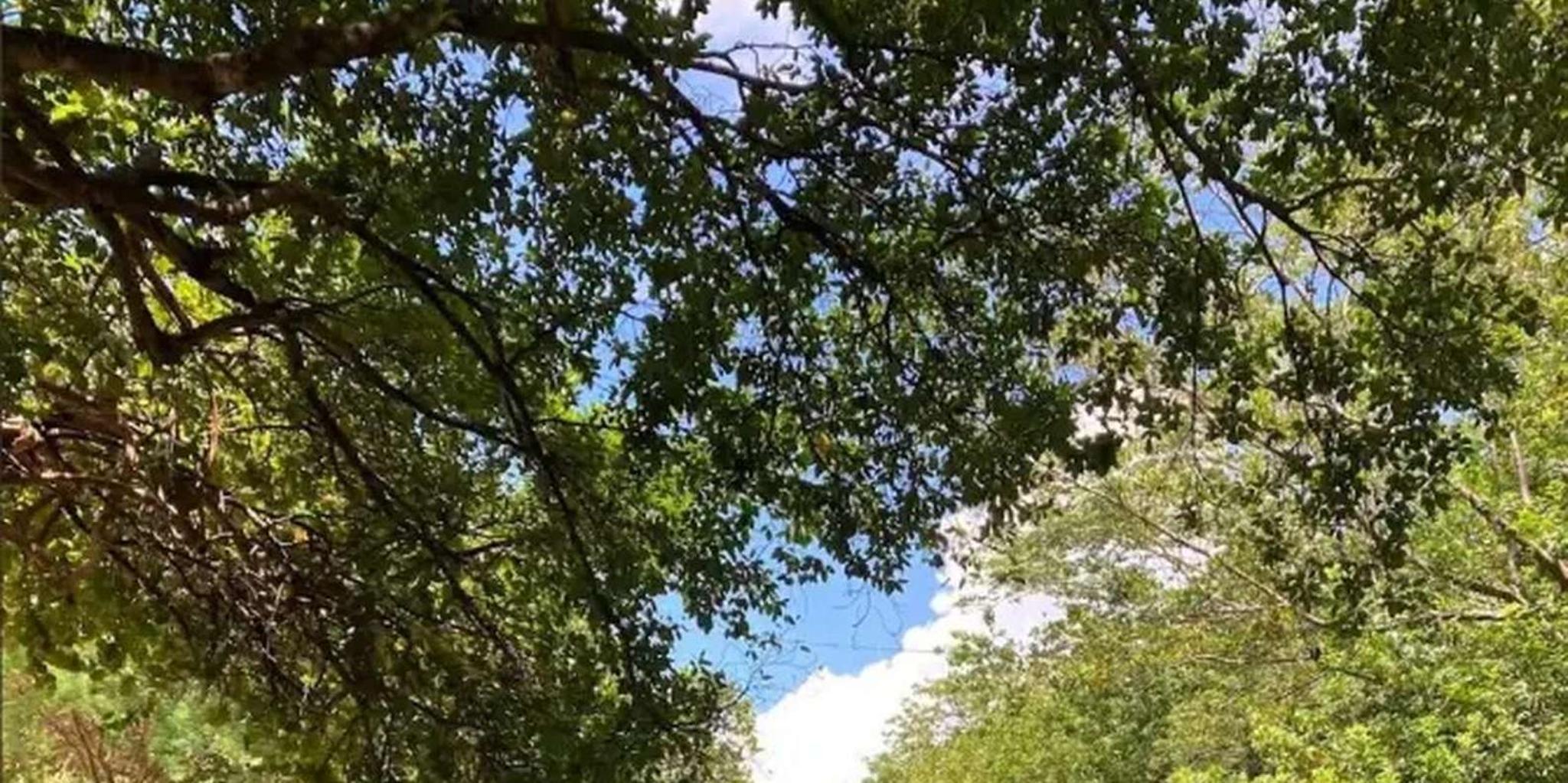 Miami Beach Clear Kayak Tour and LED Glow Experience - Image 2