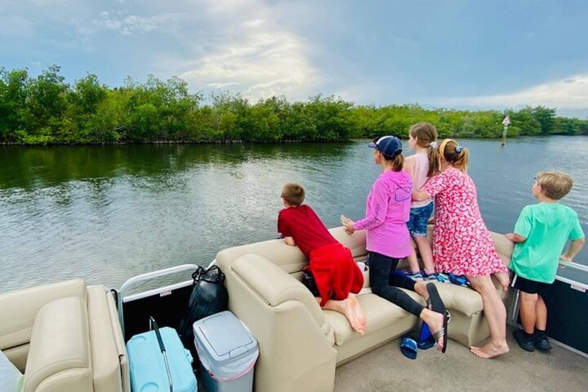 Cocoa Village Dolphin and Manatee Pontoon Tour