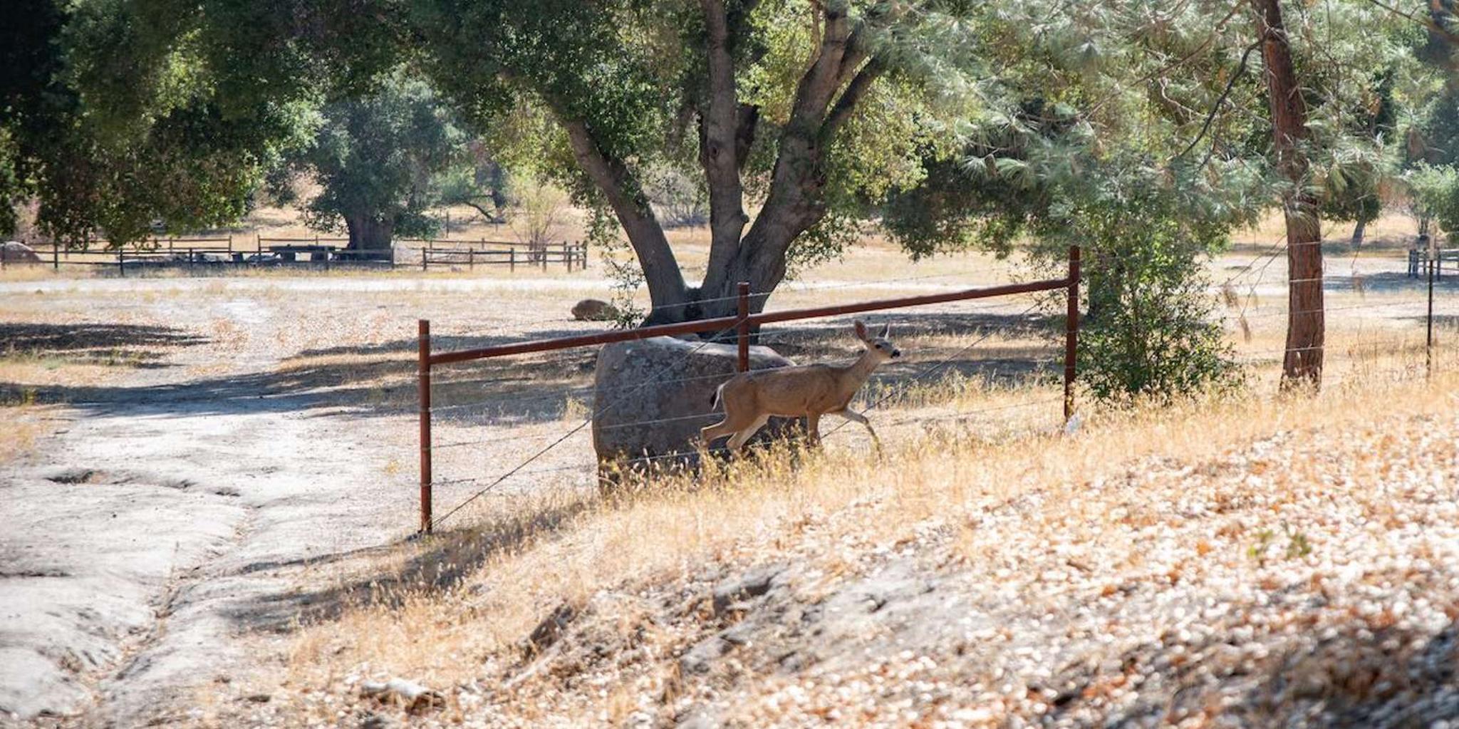 San Luis Obispo Foraging Tour at Margarita Ranch - Image 5
