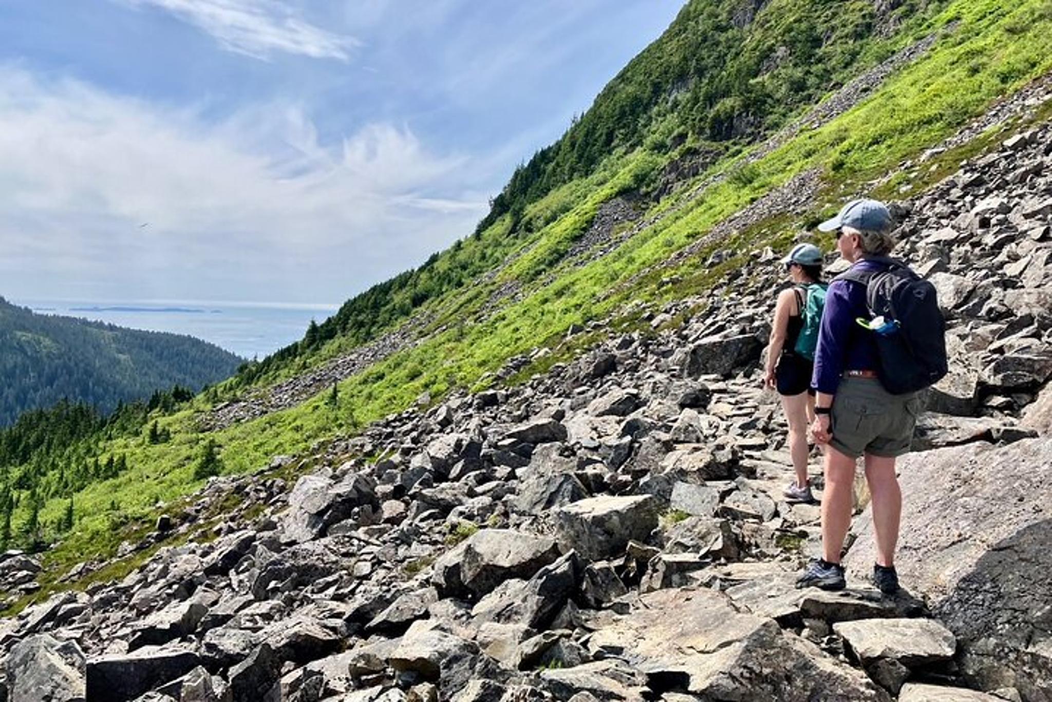 Sitka Harbor Mountain and Gavan Hill Trail Hike - Image 4
