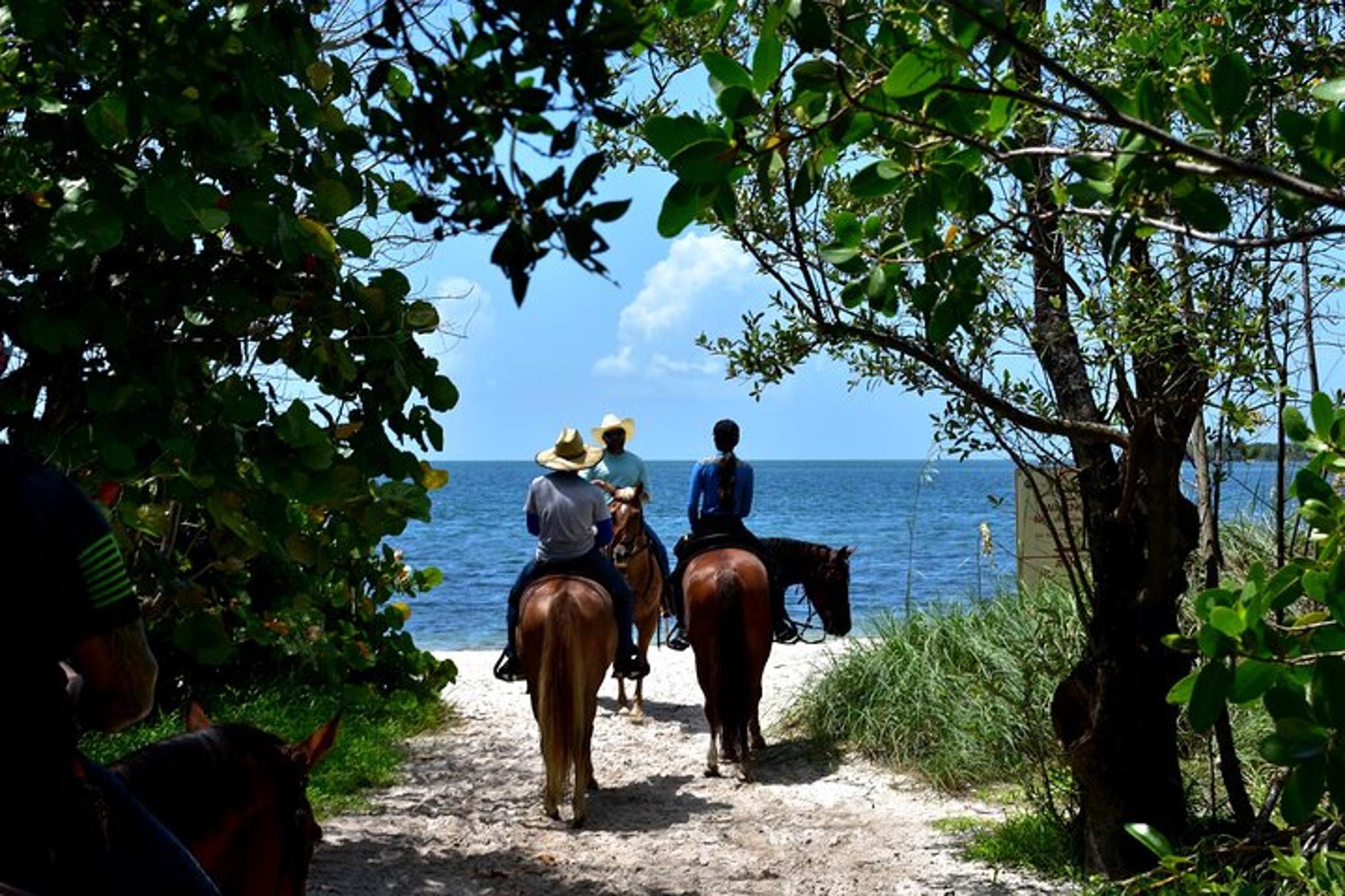 Miami Horseback Riding on Pristine Waters - Image 3