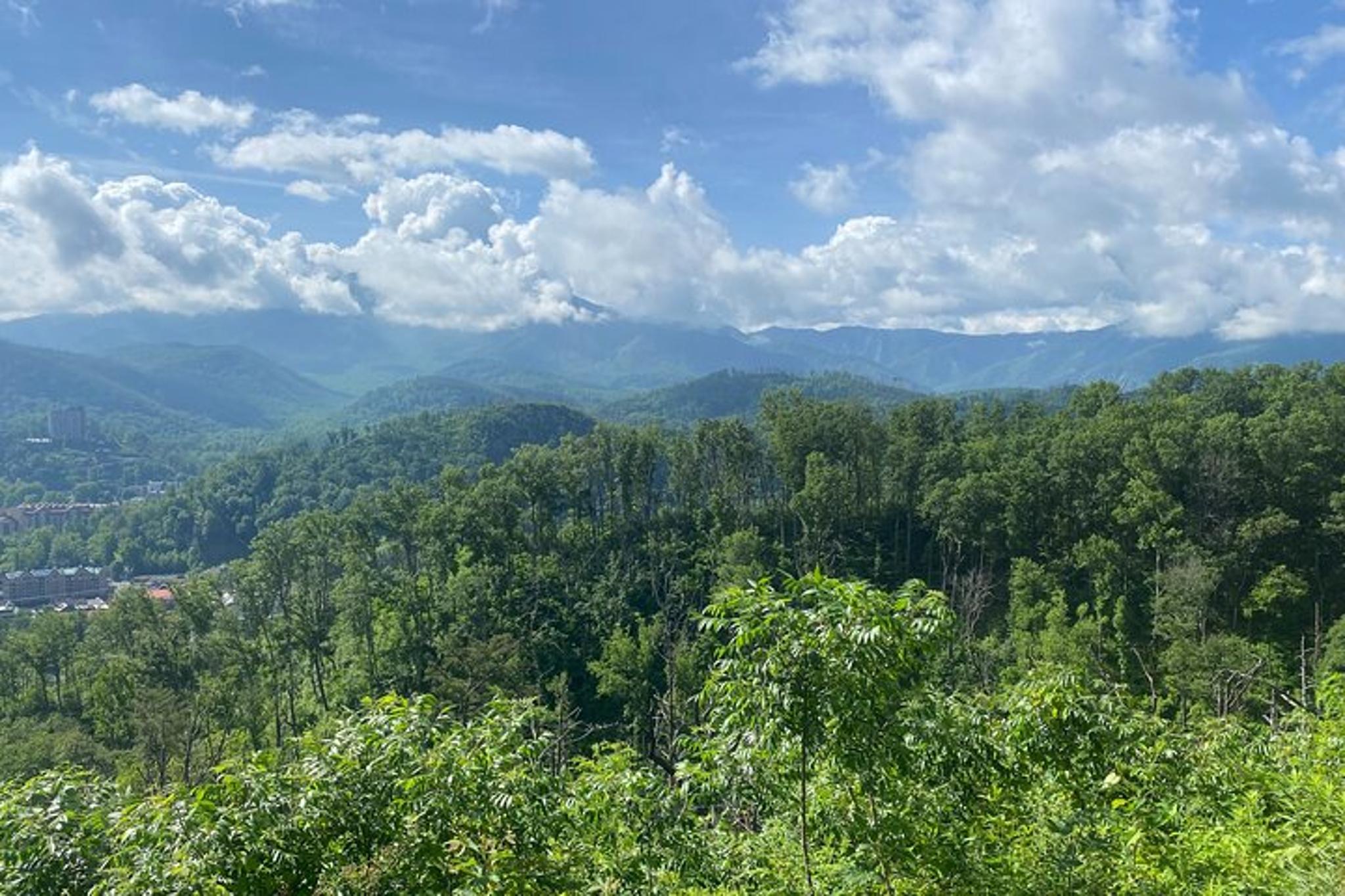 Smoky Mountains Roaring Fork Sightseeing Jeep Tour - Image 4