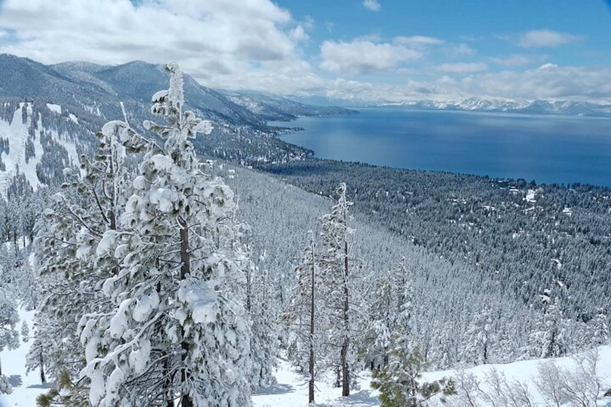 Lake Tahoe Snowshoe Tour - Image 4