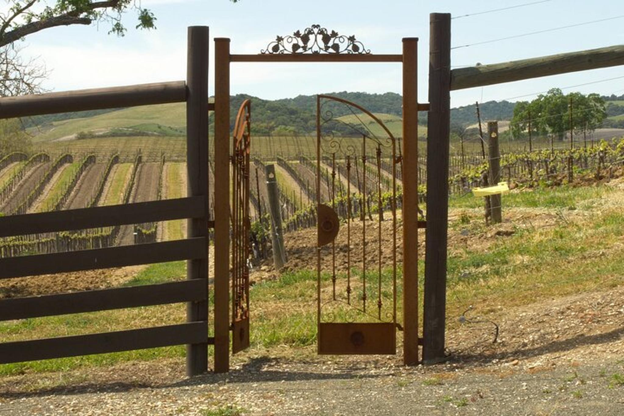 Paso Robles Wine Tour Self-Guided Audio Experience - Image 2
