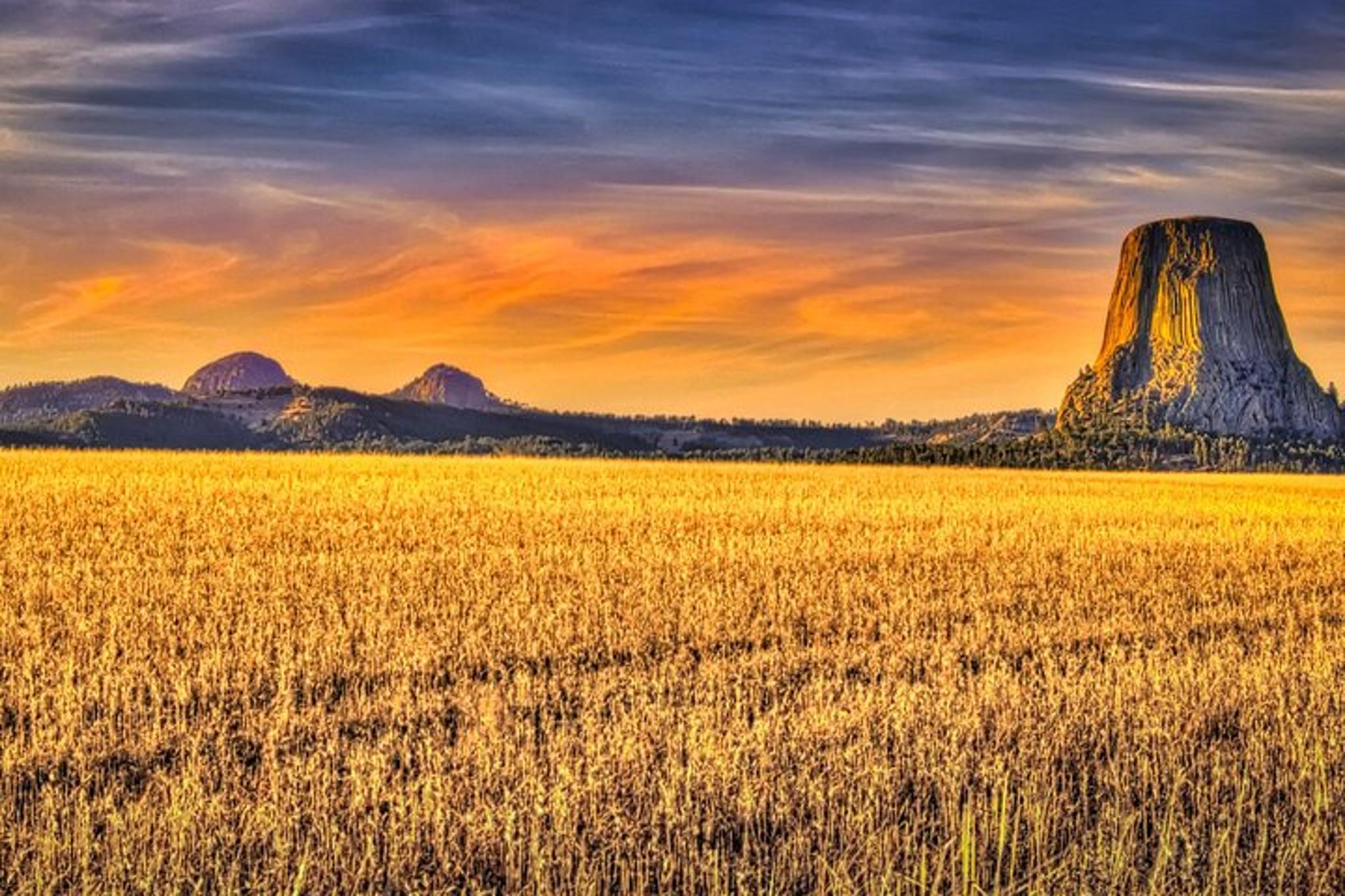 Denver National Parks Tour 7-Day - Image 2