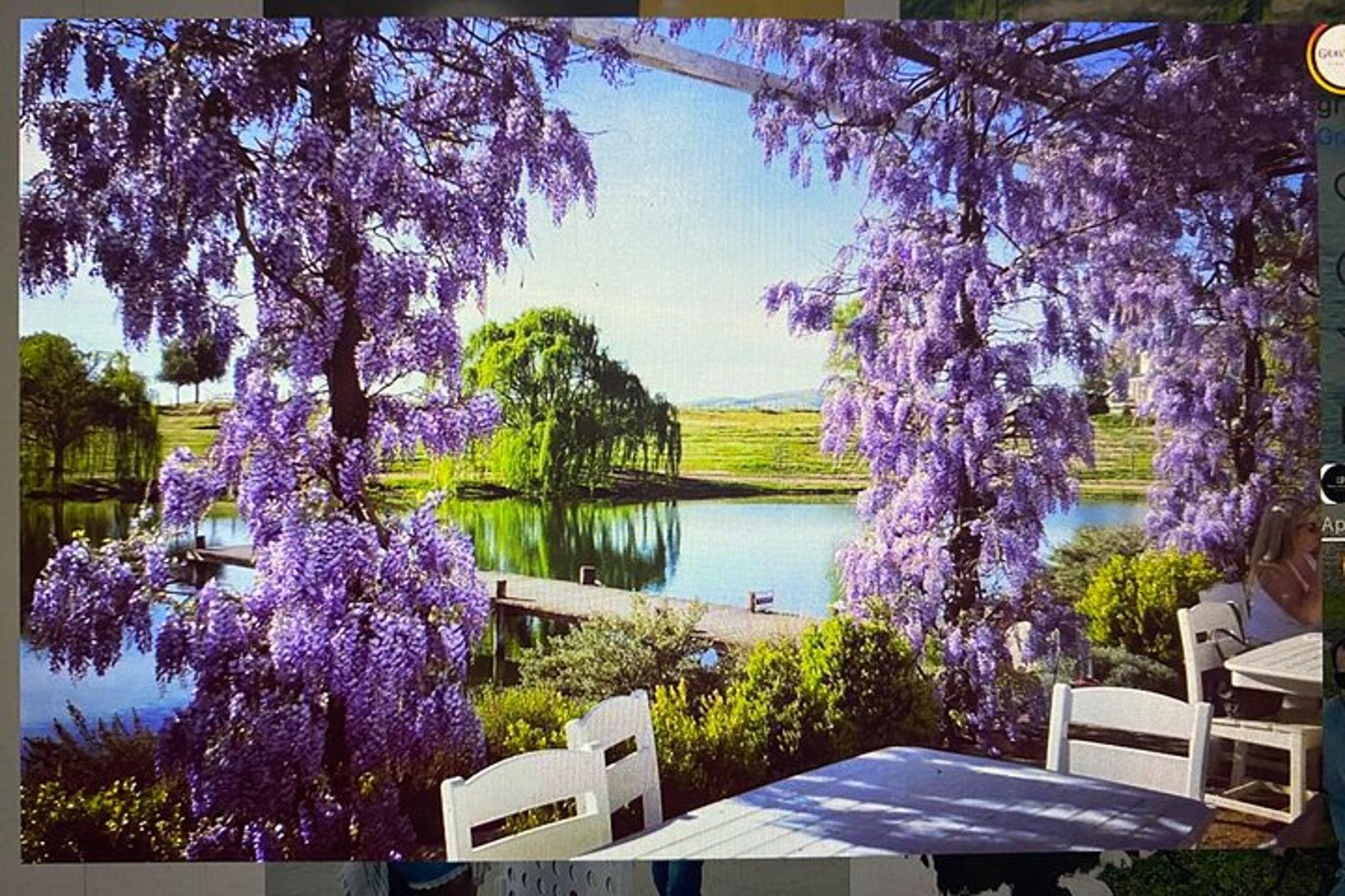 Wine Country Paint and Sip Experience - Image 4