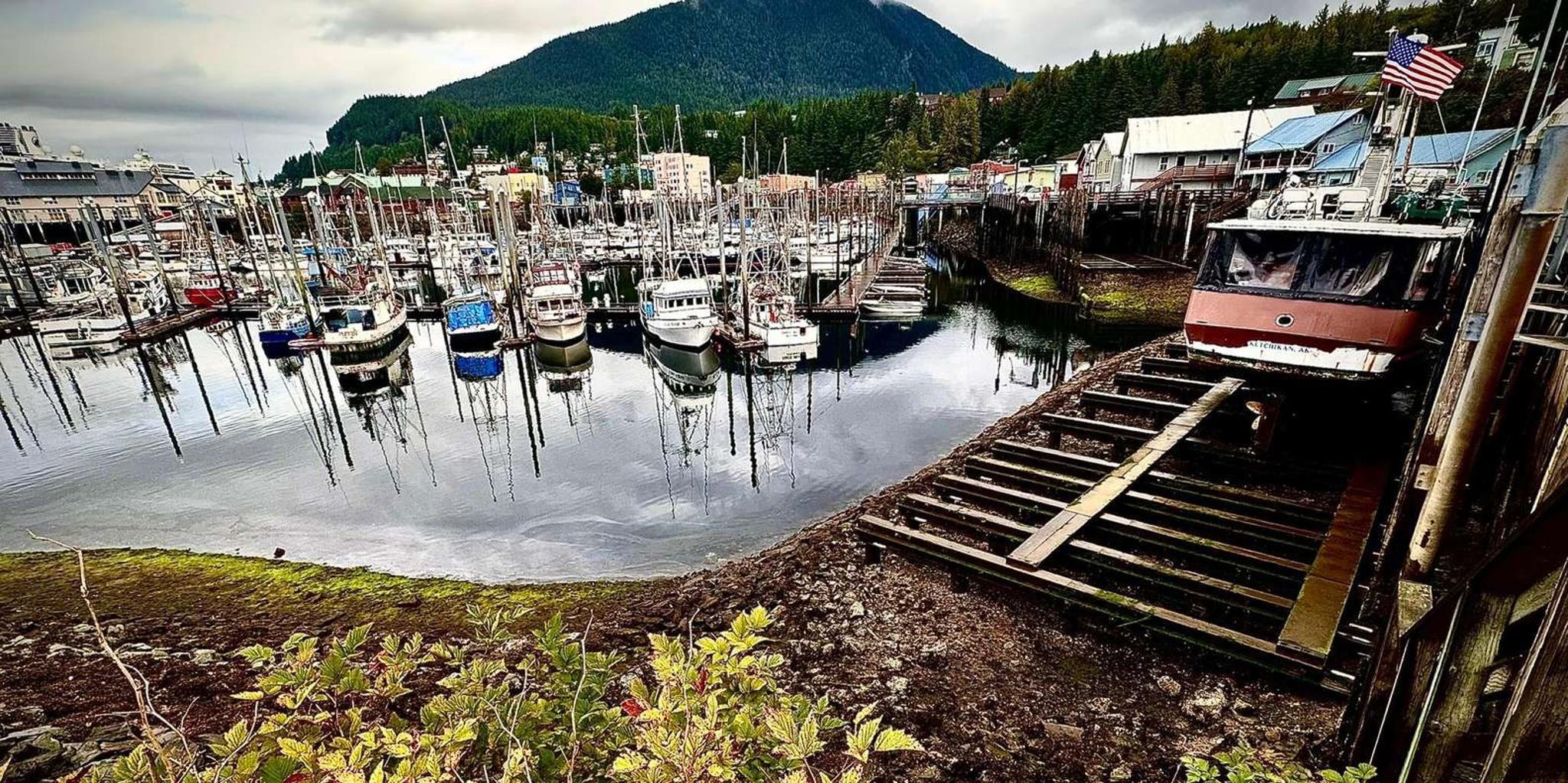 Ketchikan Island Tour with Wild Wolf Tours 3 hr - Image 2