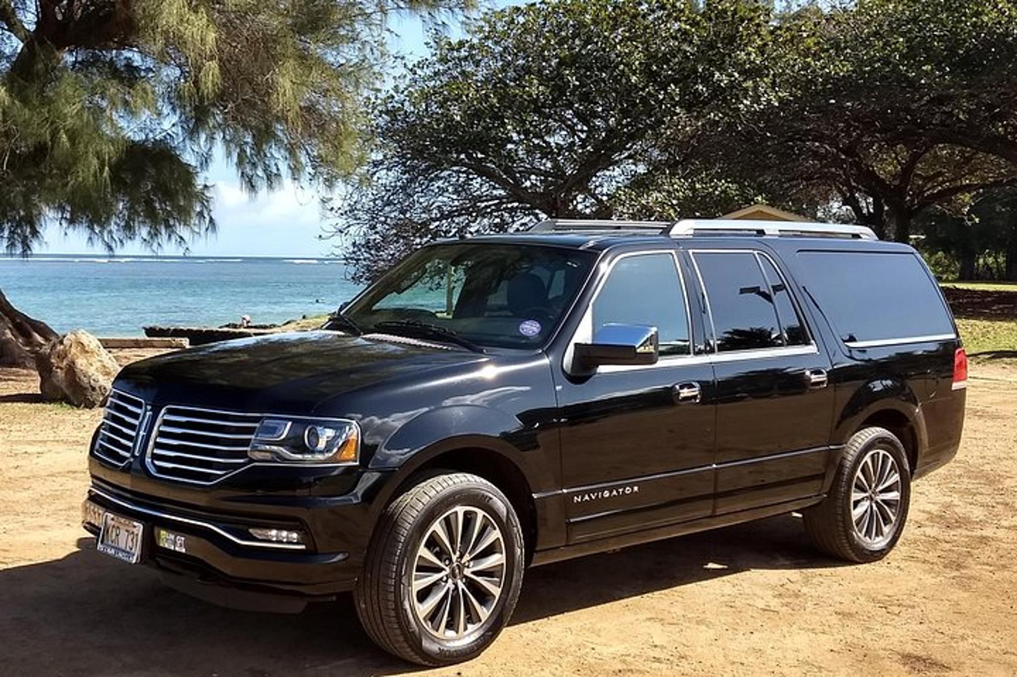 Kauai Private Tour of South & West Shores - Image 4