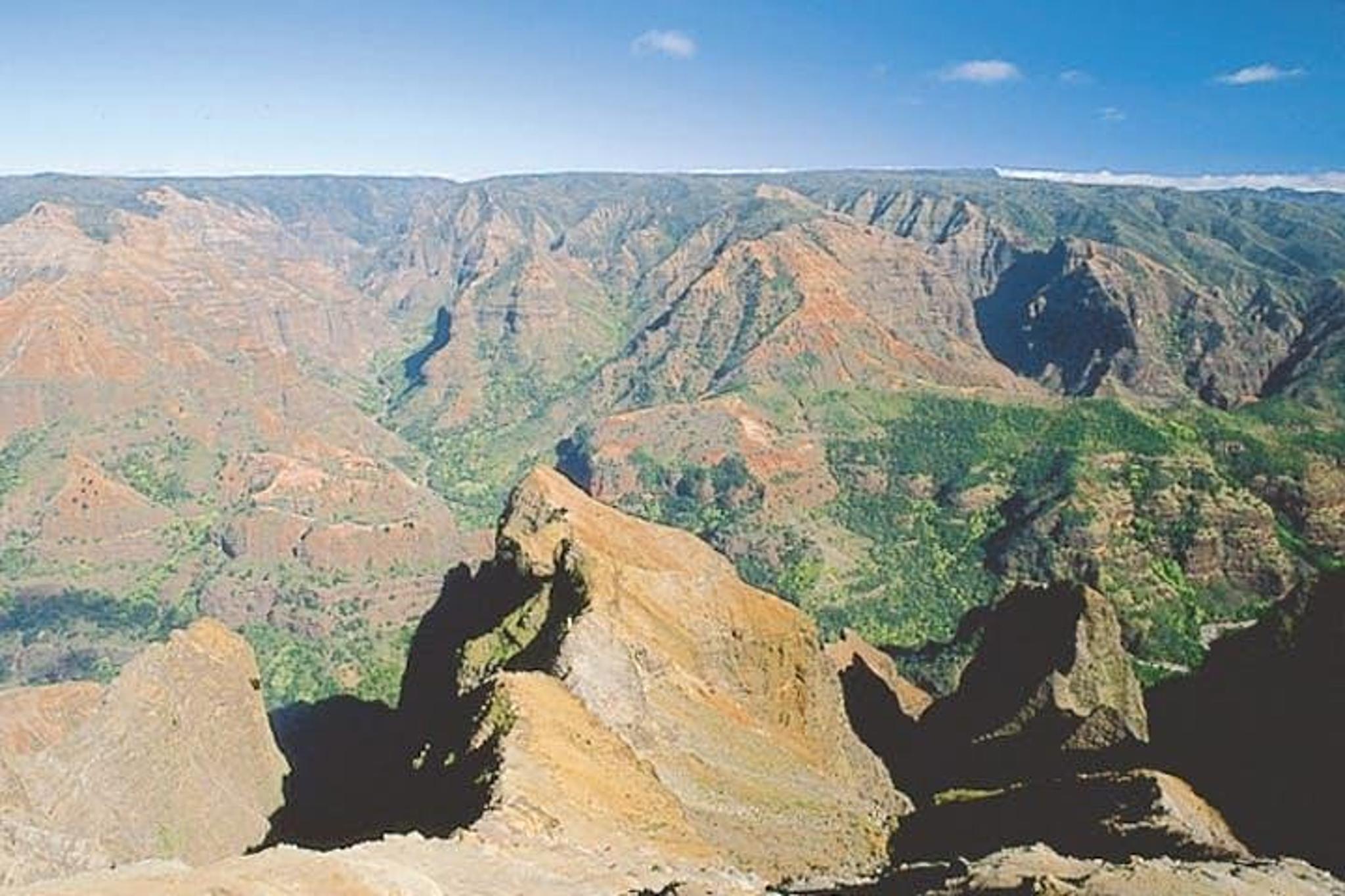 Kauai Shore Excursion to Waimea Canyon - Image 5