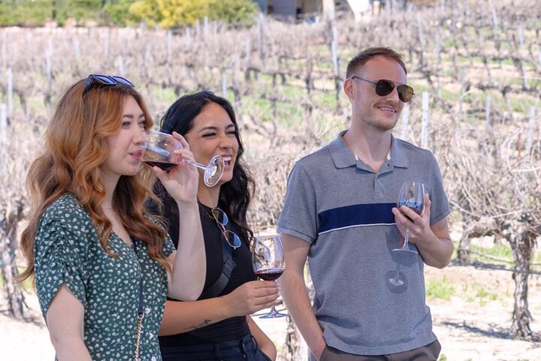 Temecula Valley Wine Tasting Tour 4 hr - Image 2