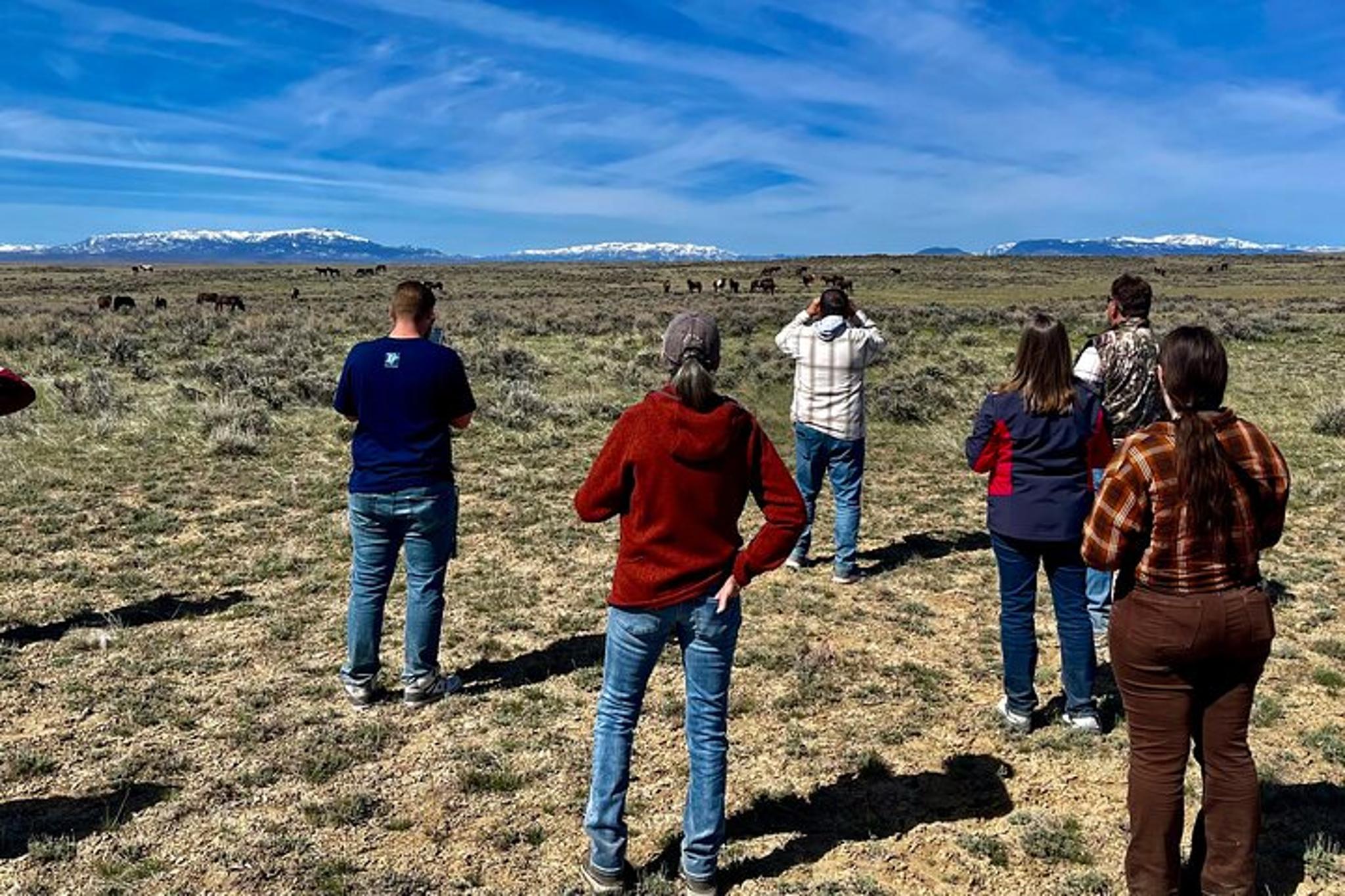 Cody Wild Mustang Van Tour 4 hr - Image 3