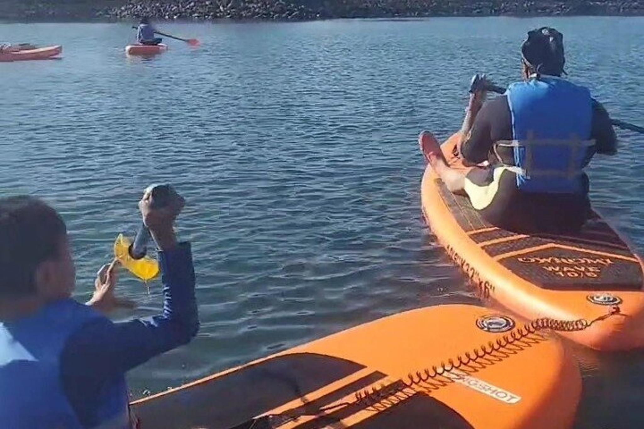 Fayette County Paddle Board Adventure - Image 1