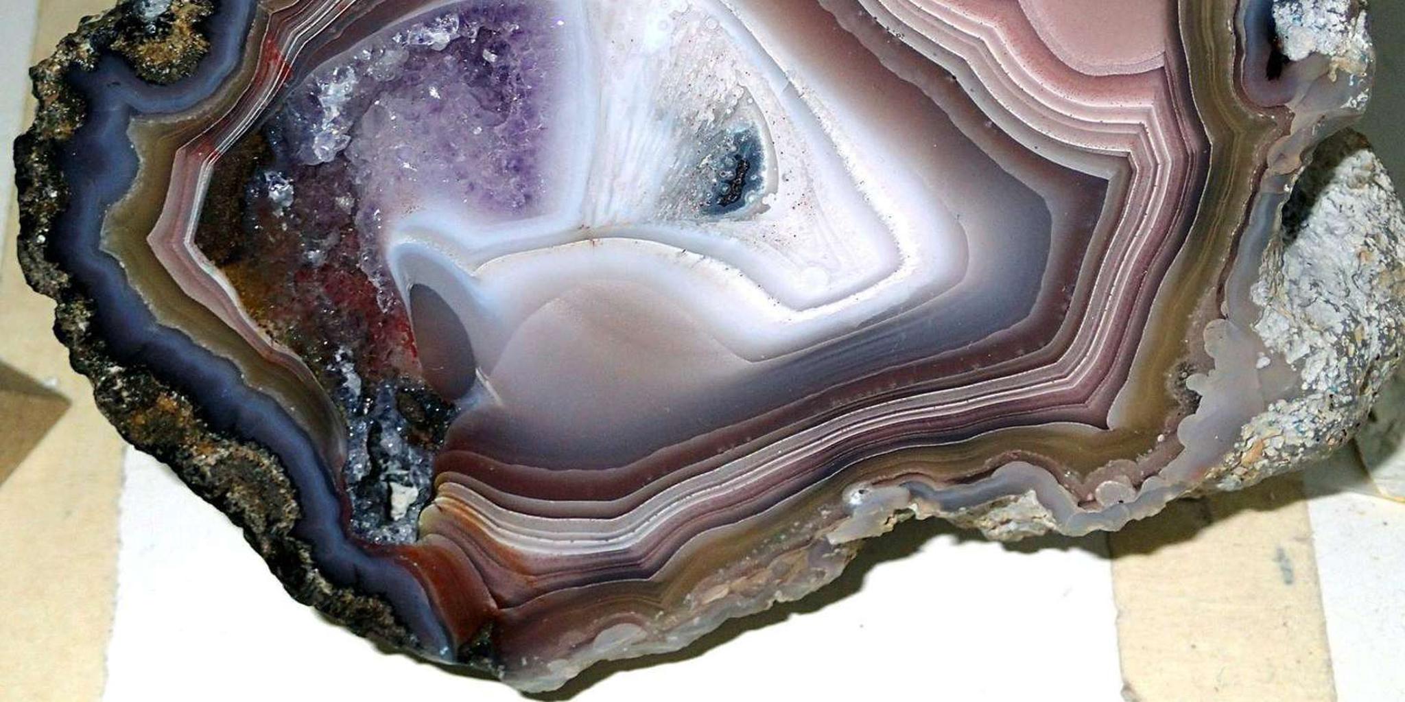 Denver Museum of Nature and Science Digital Tour - Image 6