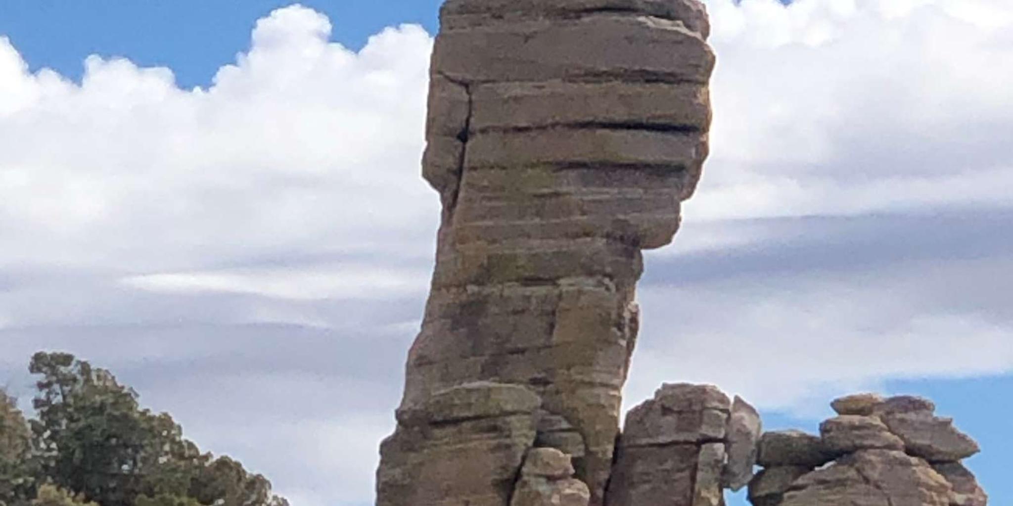 Tucson Mountain Bio Zones Tour - Image 2
