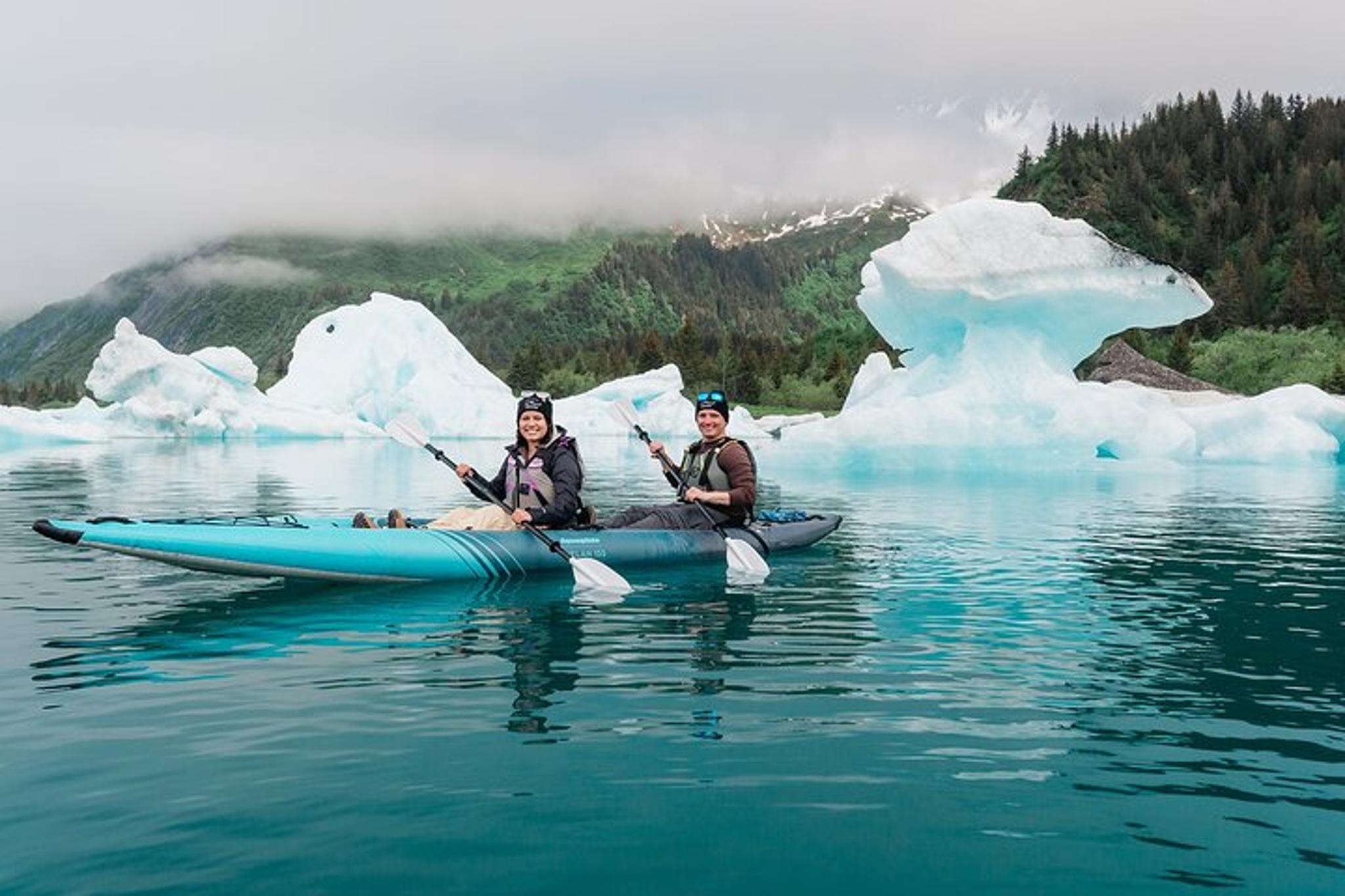 Seward Glacier Flight and Kayak Adventure - Image 4