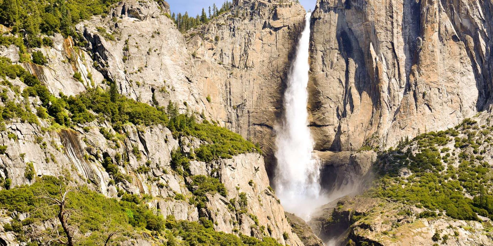 Yosemite National Park Day Trip from Lake Tahoe - Image 3