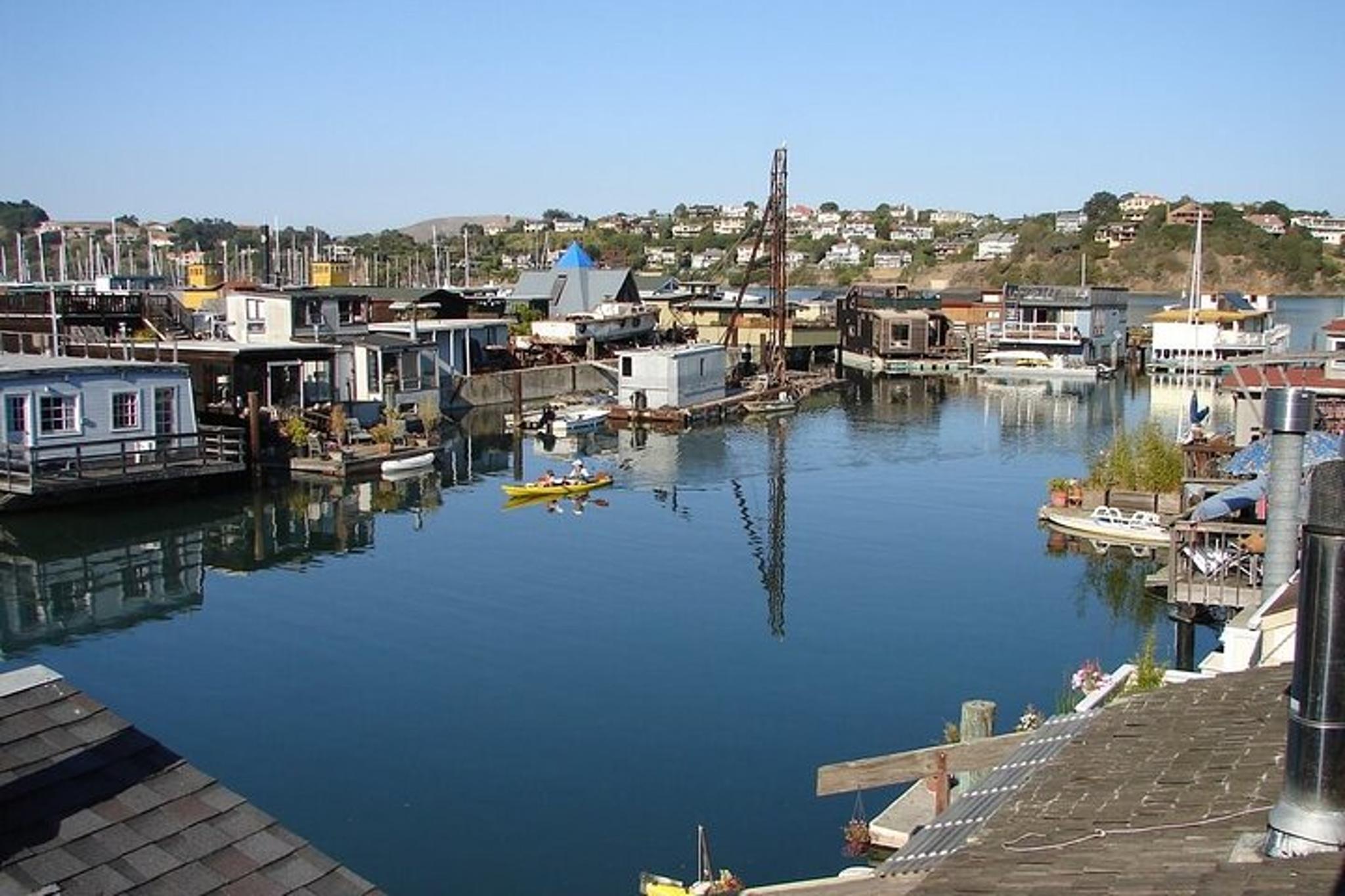 San Francisco Redwoods and Sausalito Private Tour - Image 6