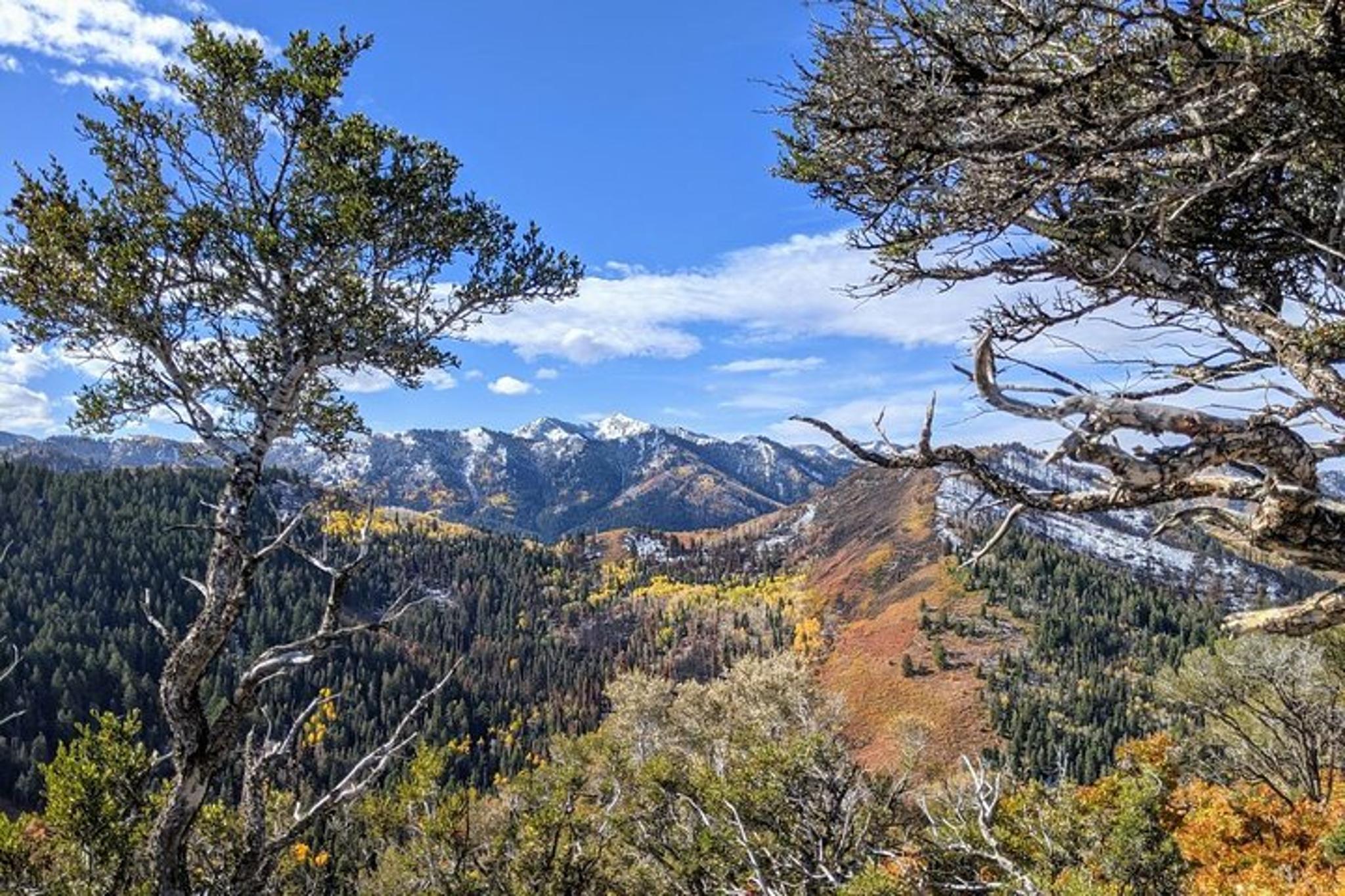 Park City Hiking Tour with Local Guide - Image 6