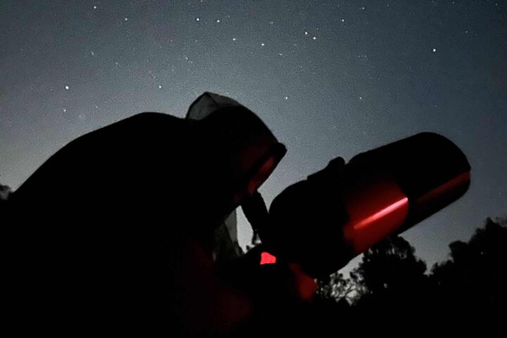 Punta Gorda Stargazing Tour - Image 2
