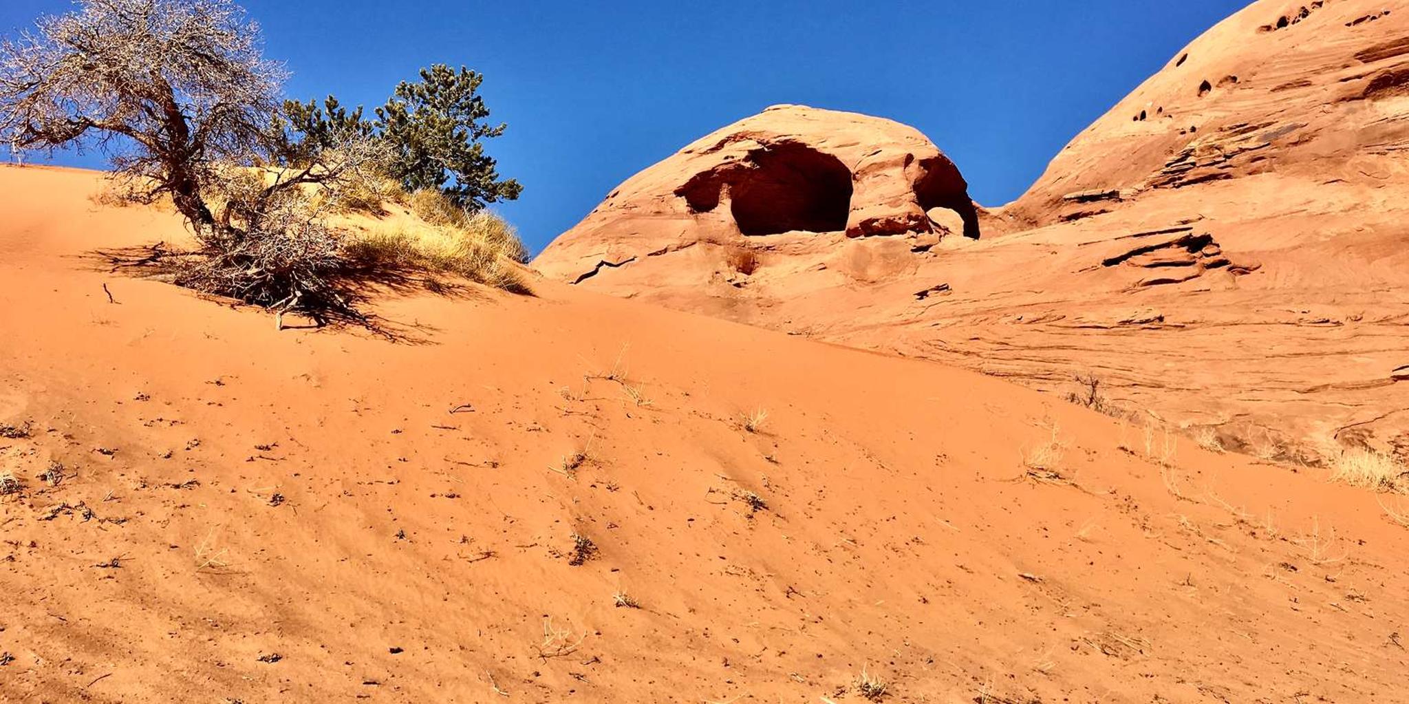 Monument Valley Mystery Valley Tour 2.5 hr - Image 3