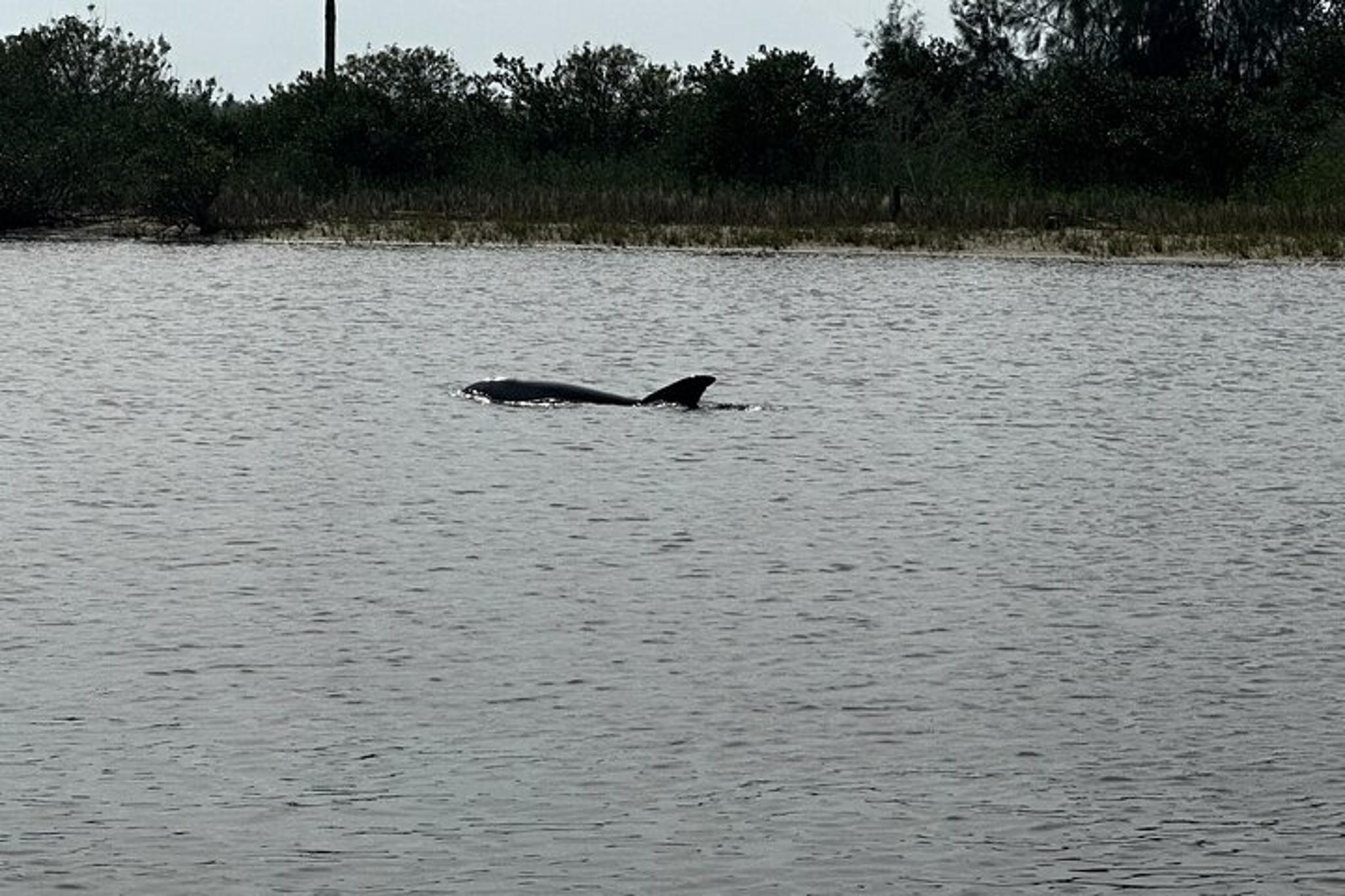 Daytona Beach Coastal Cruise - Image 2
