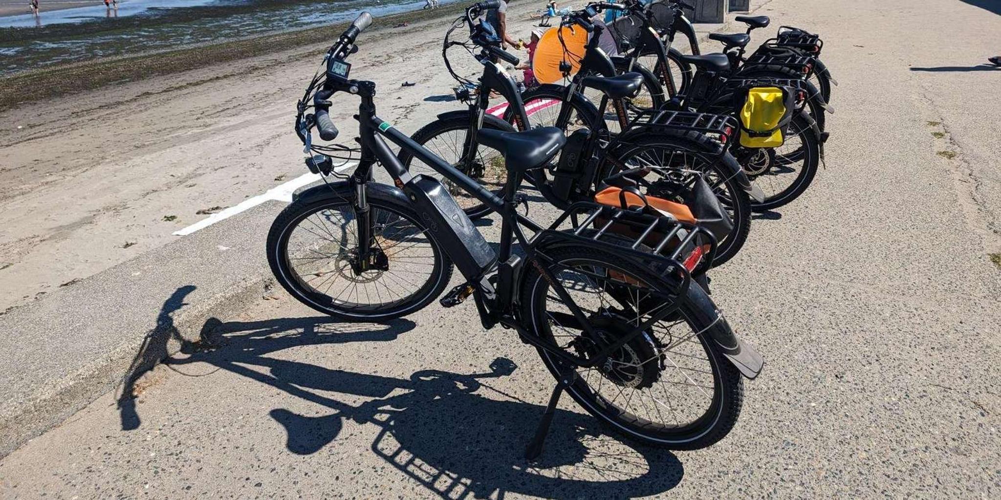 Seattle Bainbridge Island E-Bike Tour 4.5 hr - Image 5