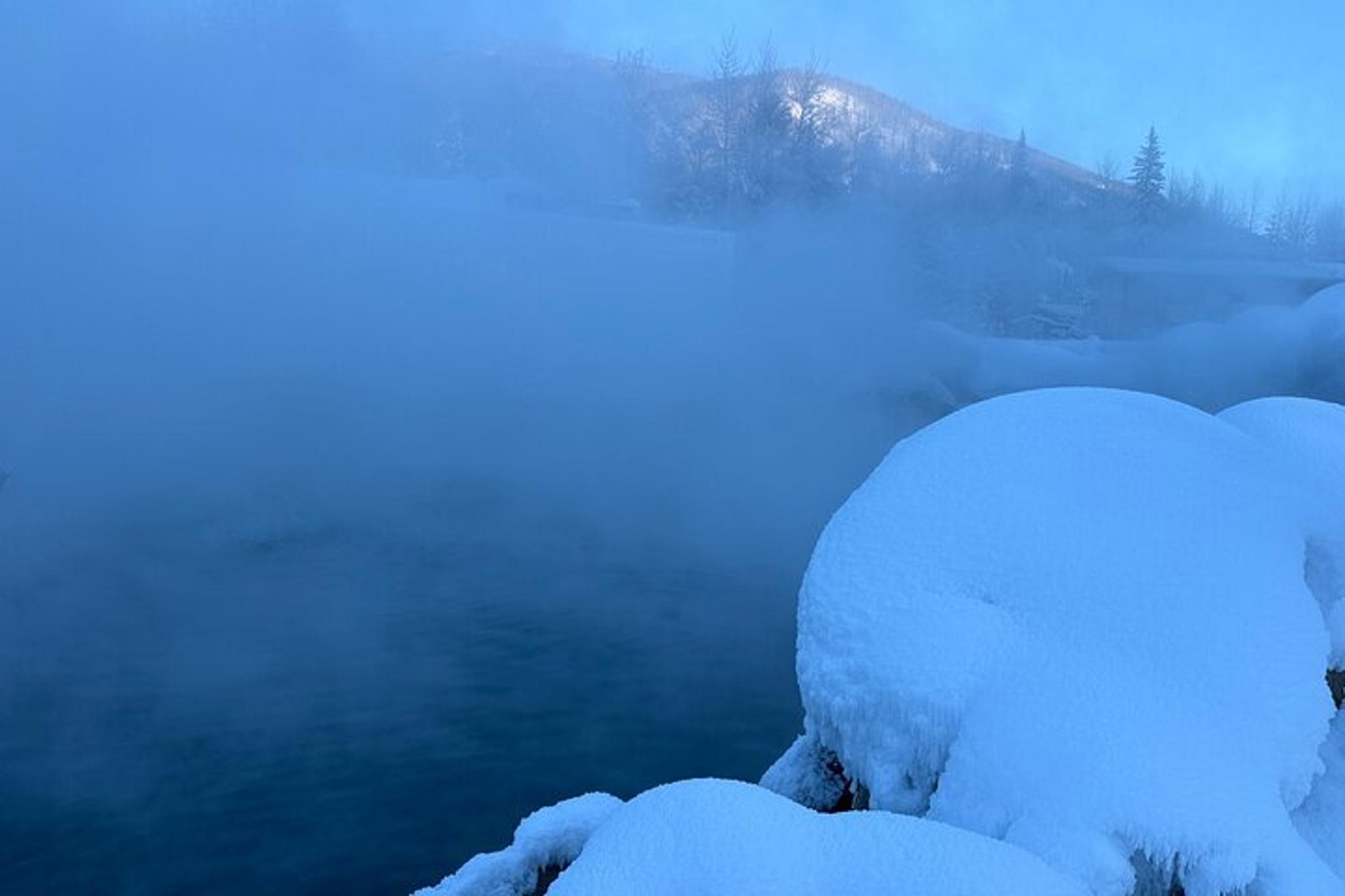 Chena Hot Springs Day Trip - Image 3