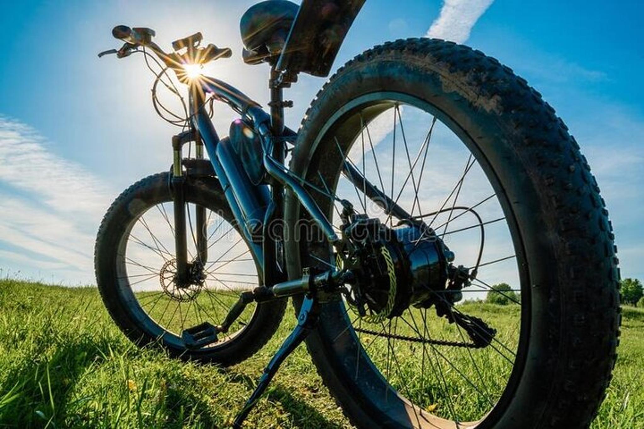 Jacksonport E-Bike Tour at Cave Point - Image 5