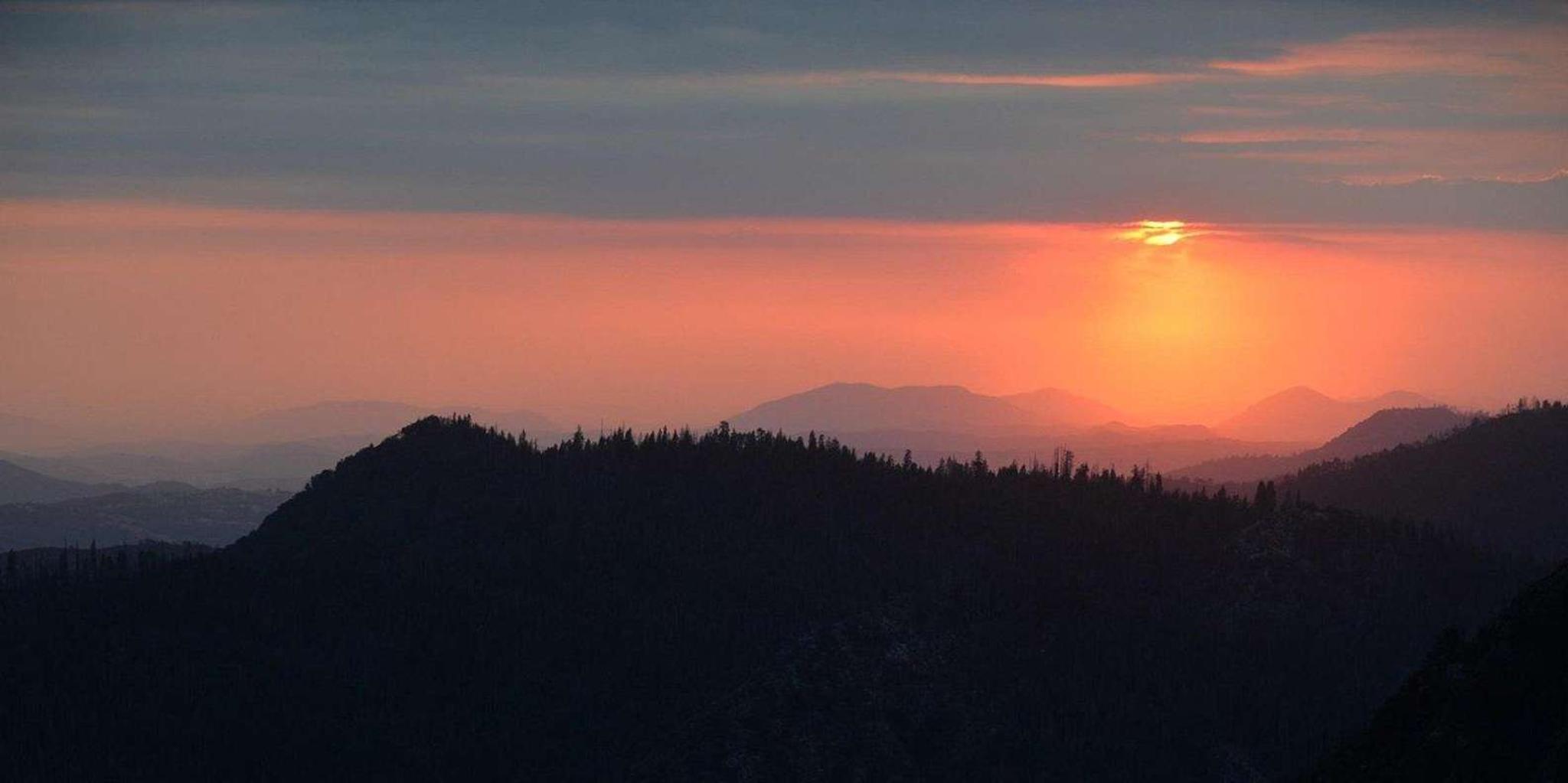 Los Angeles Sequoia and Kings Canyon Private Tour - Image 6