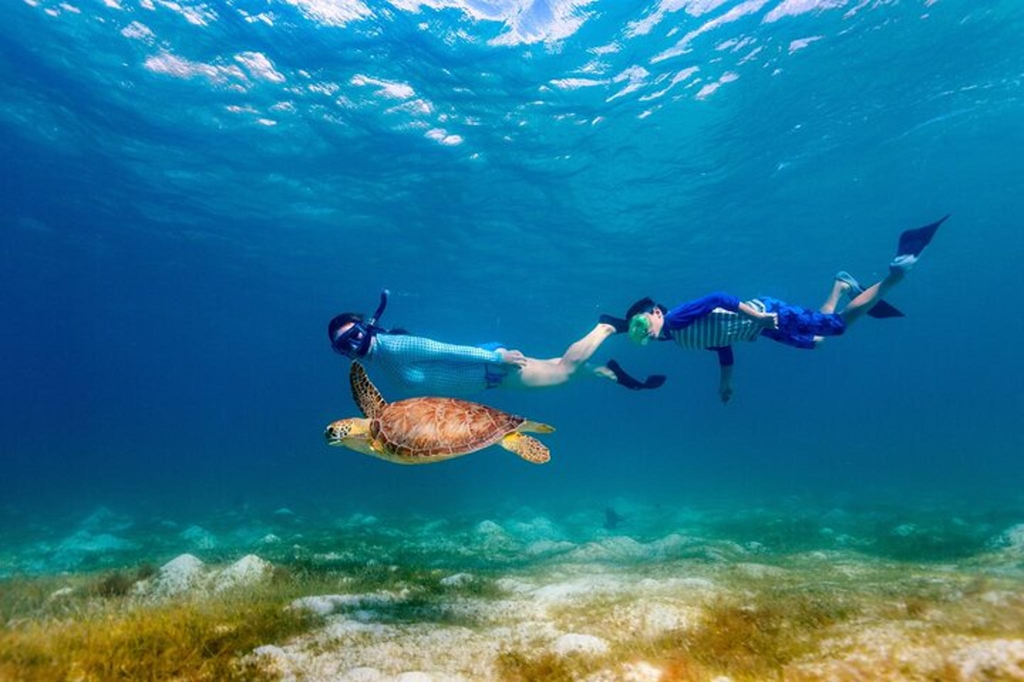 Oahu Snorkeling Tour at Hanauma Bay - Image 3