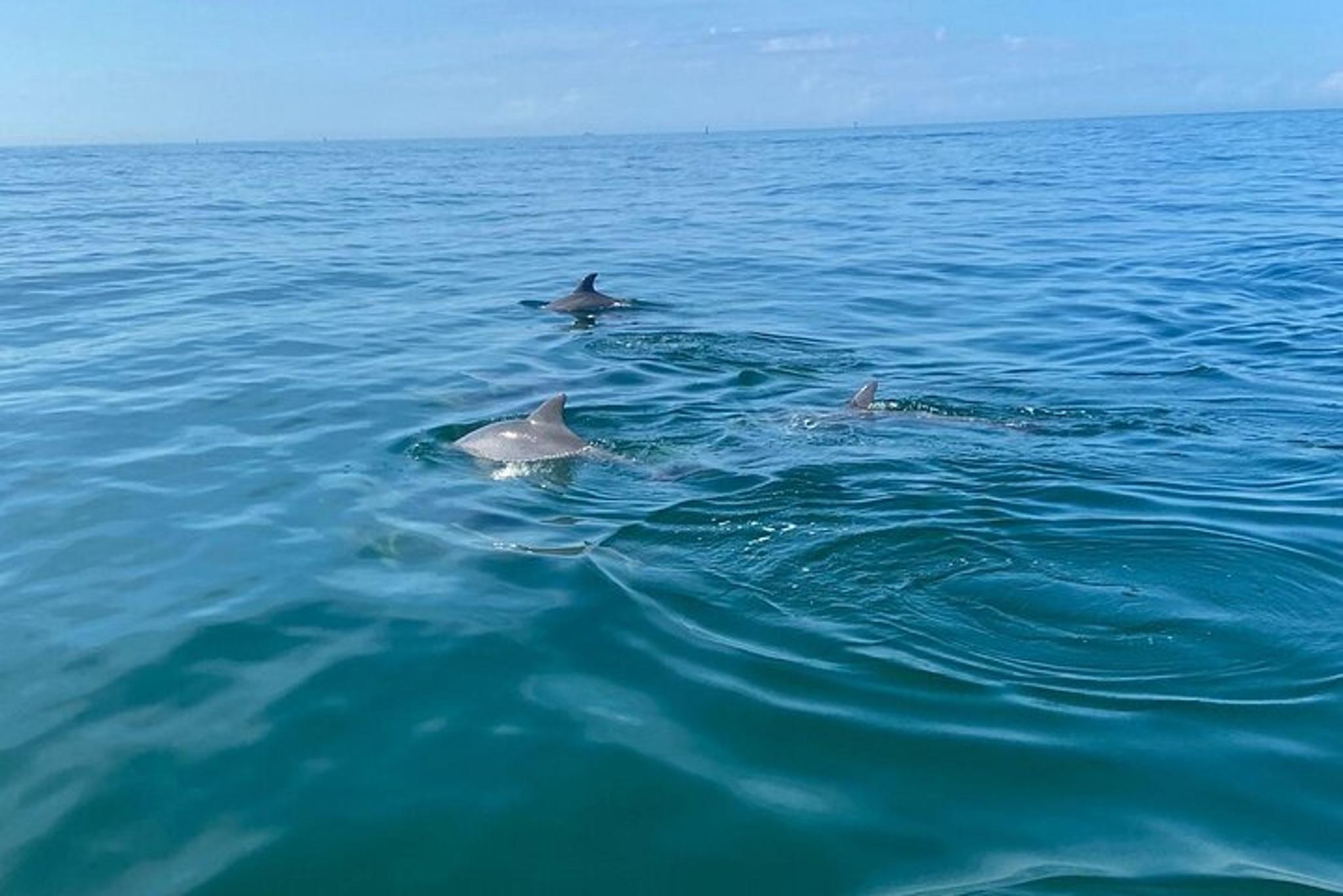 Panama City Beach Sunset Tour - Image 3