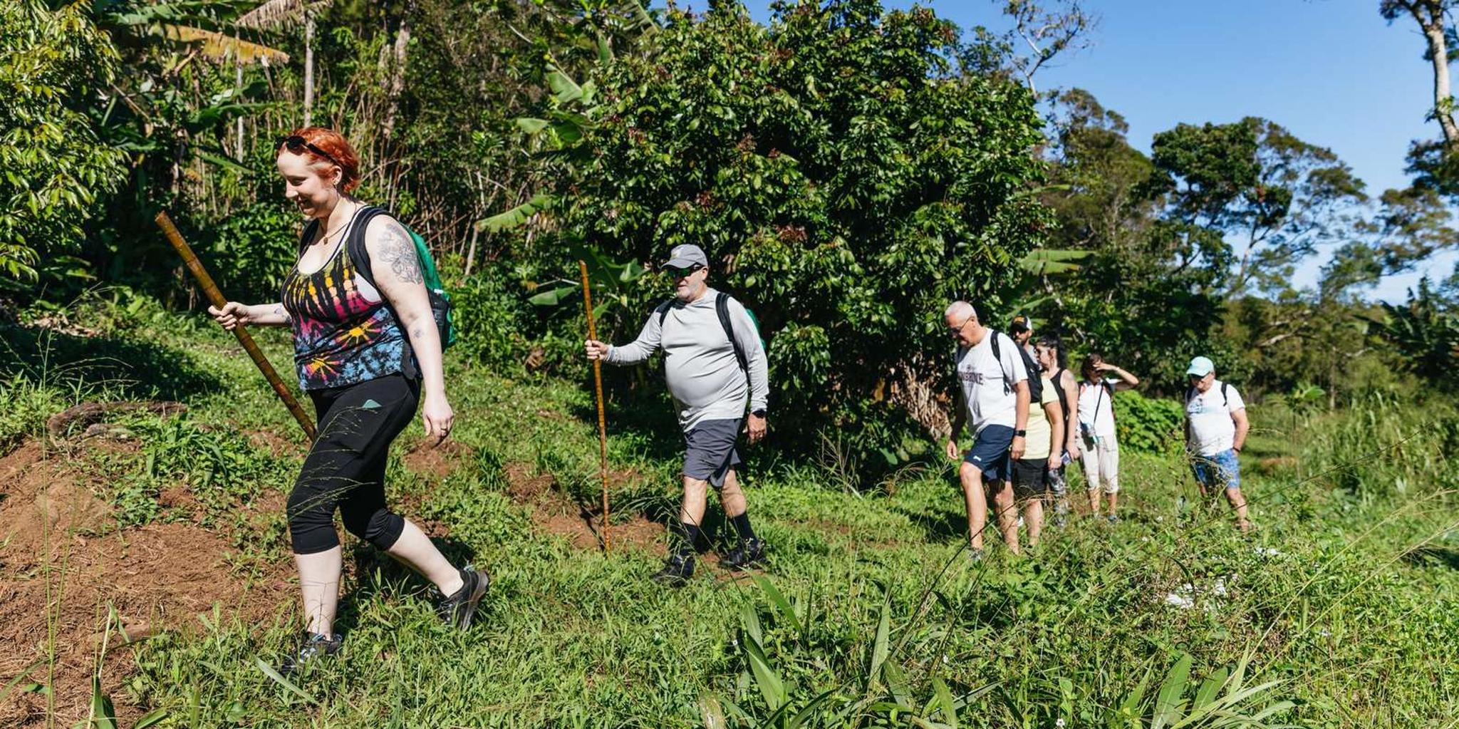 Maui Rainforest Waterfall Hiking Adventure