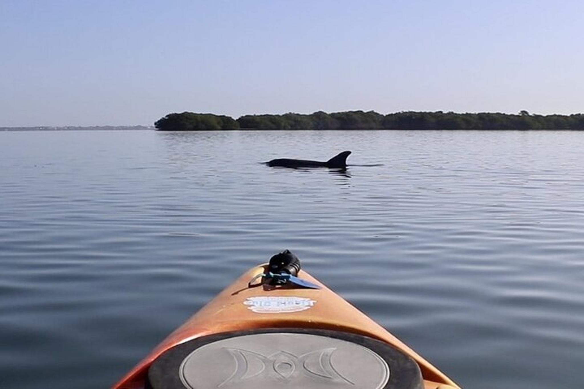 Sarasota Pedal Kayak Tour - Image 1