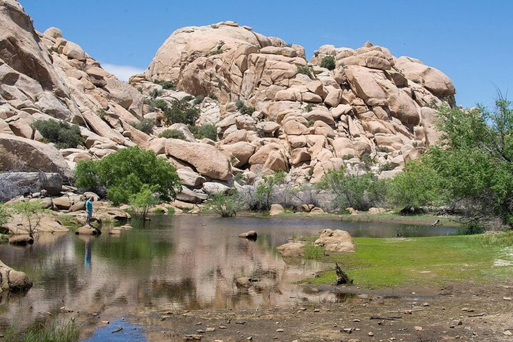 Joshua Tree Audio Tour and Locals Guide - Image 6