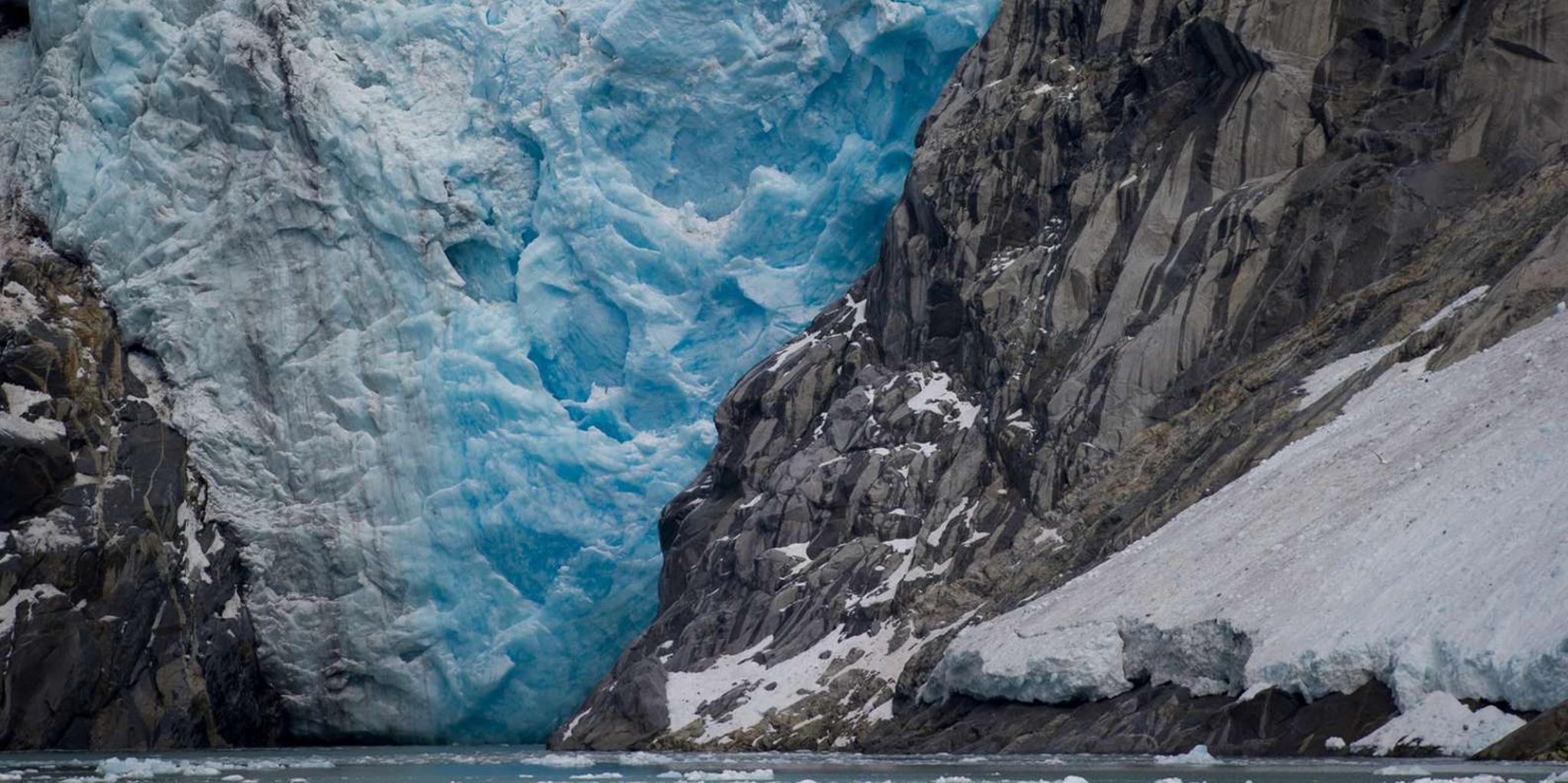 Anchorage Glacier and Wildlife Discovery Tour - Image 3