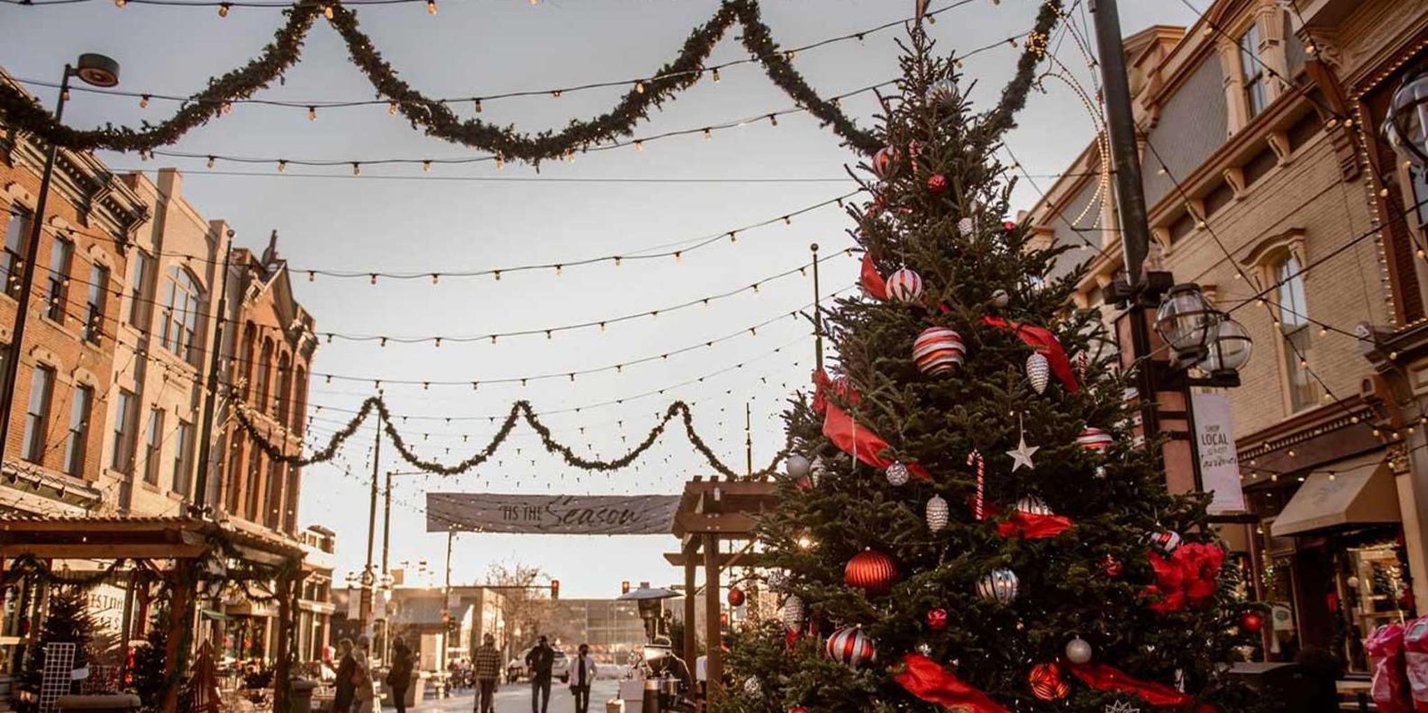 Denver City Highlights Tour