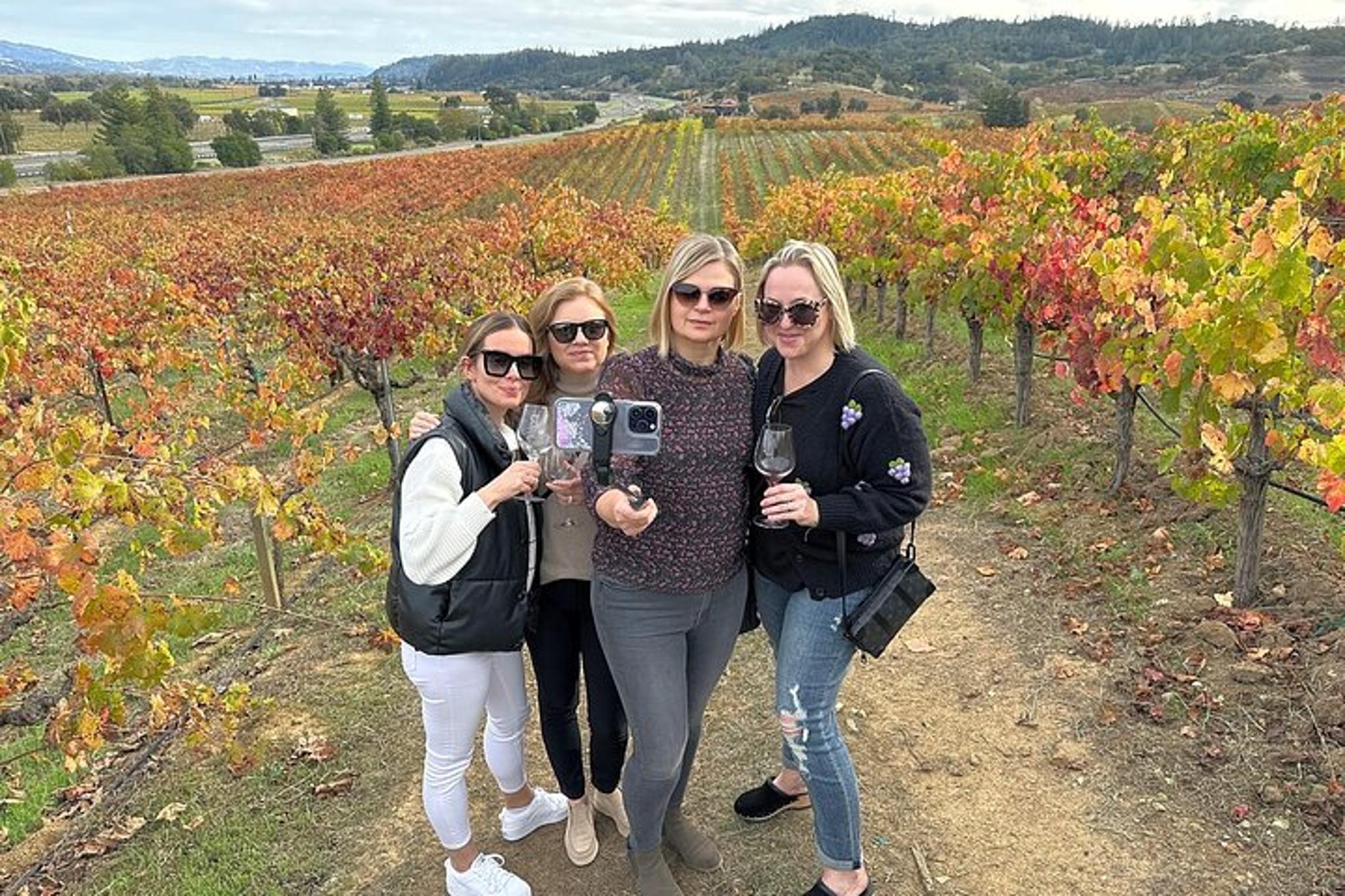 Napa Valley Mountainside Winery Tour - Image 3