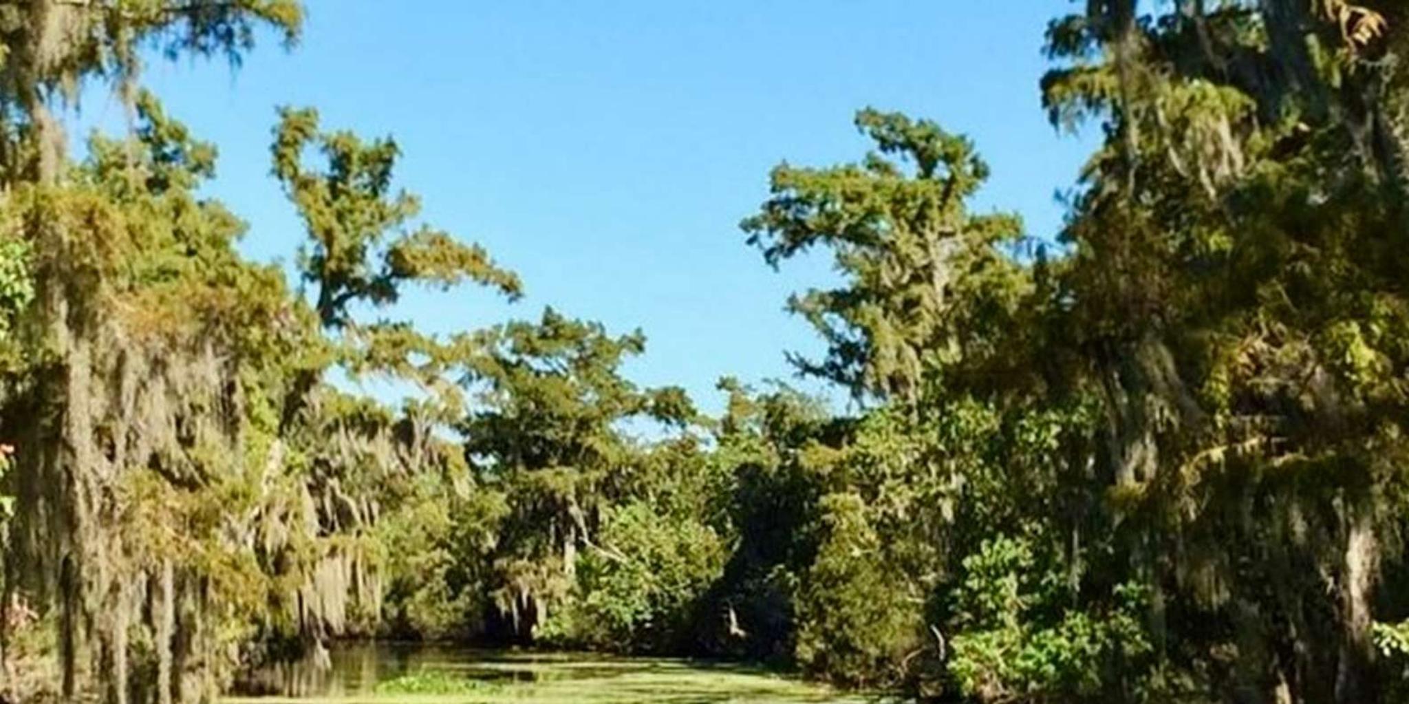 New Orleans Airboat Swamp Tour with Pickup - Image 3