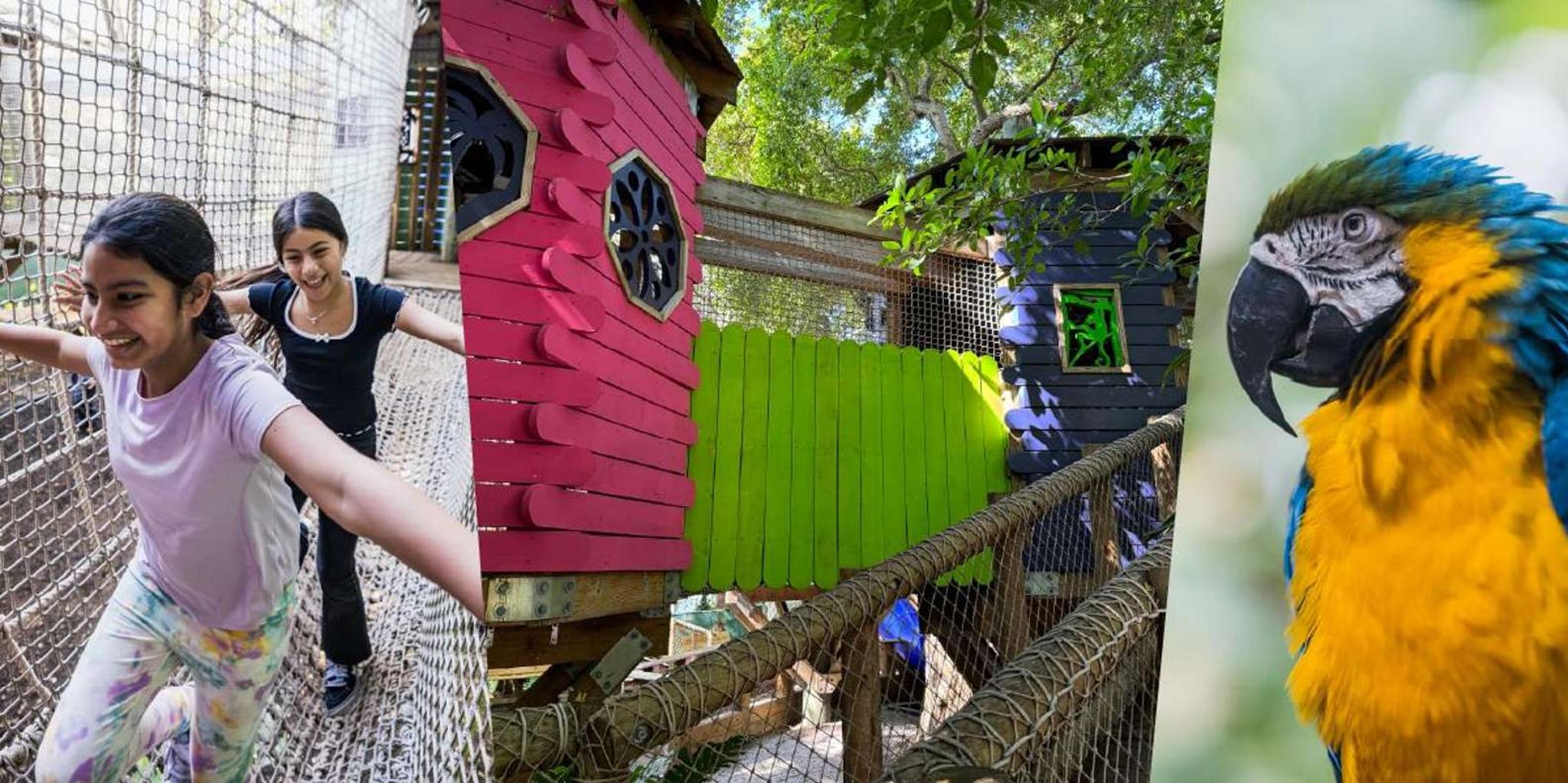 Miami Jungle Island Admission - Image 4