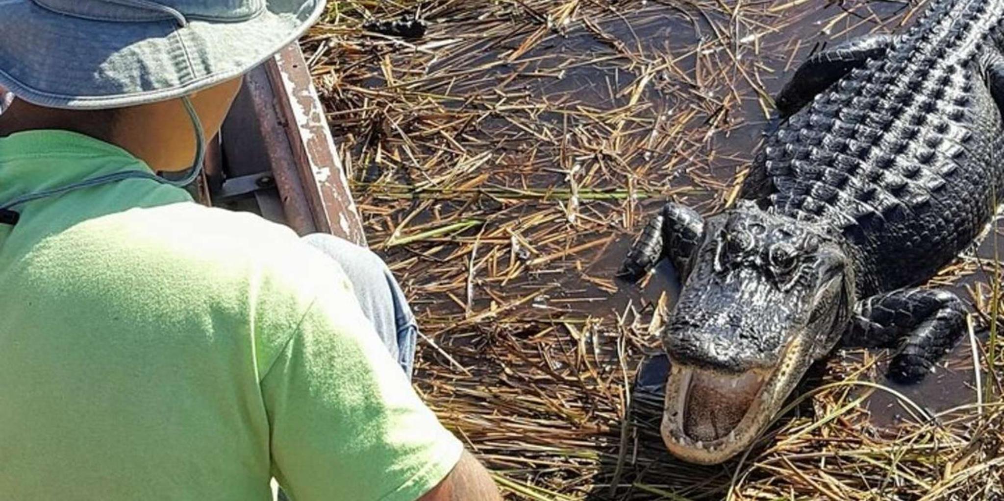 Miami Everglades Tour with Wet Walk and Boat Trips - Image 5
