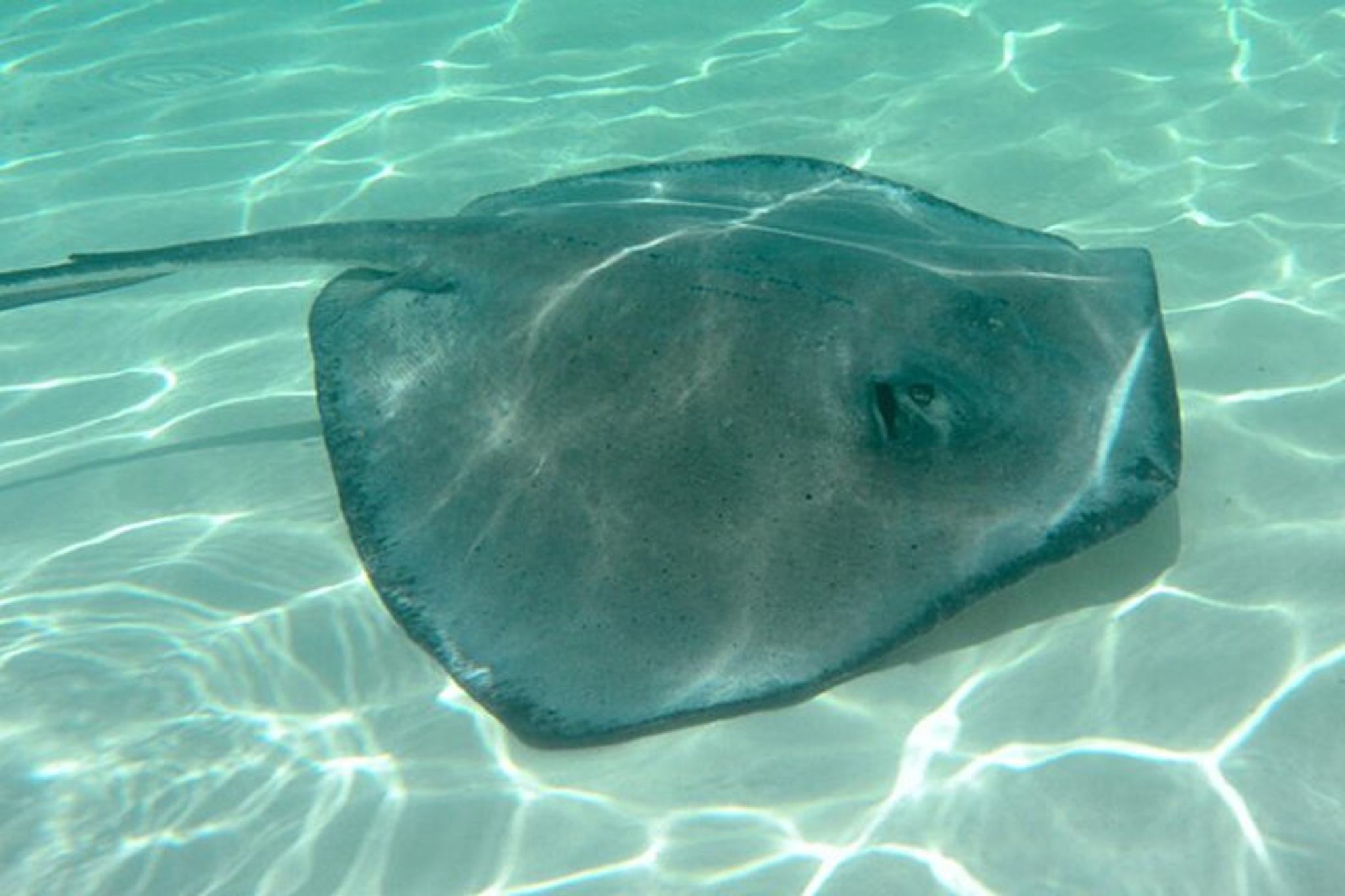 Key West Tiki Boat Eco Cruise - Image 4