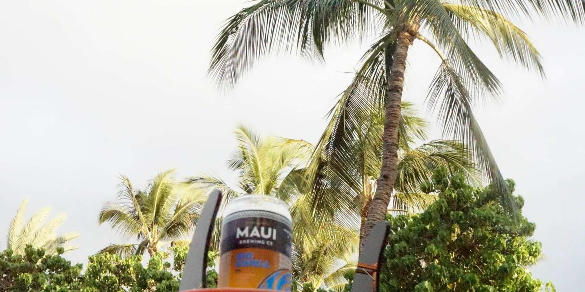 Maui Brewery and Beach Tour in Vintage VW Bus - Image 5