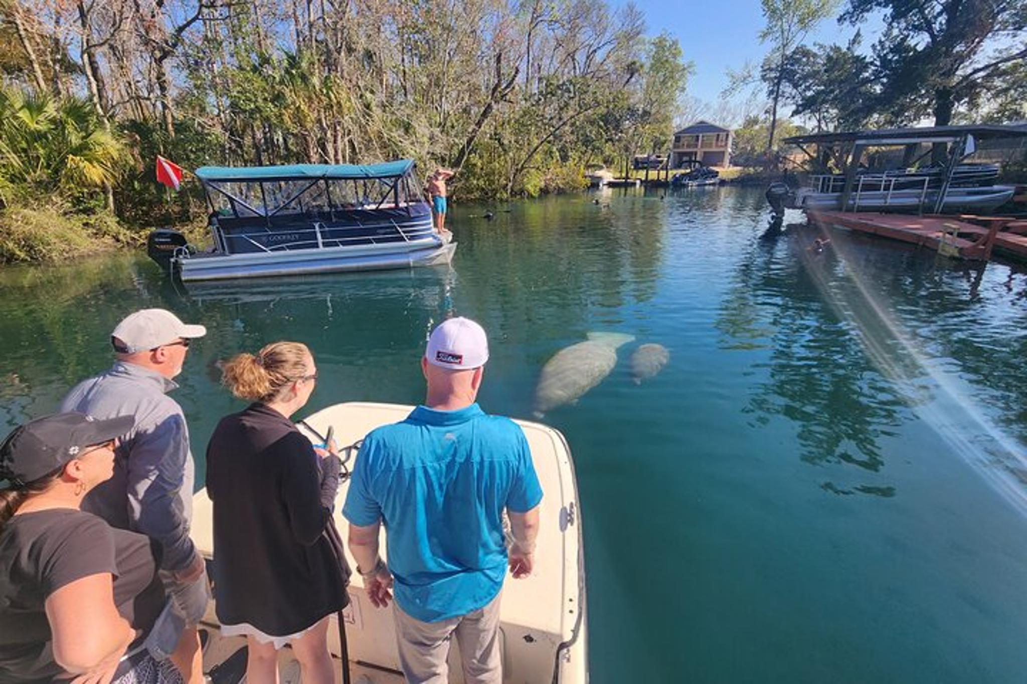 Crystal River Manatee Boat Tour - Image 3