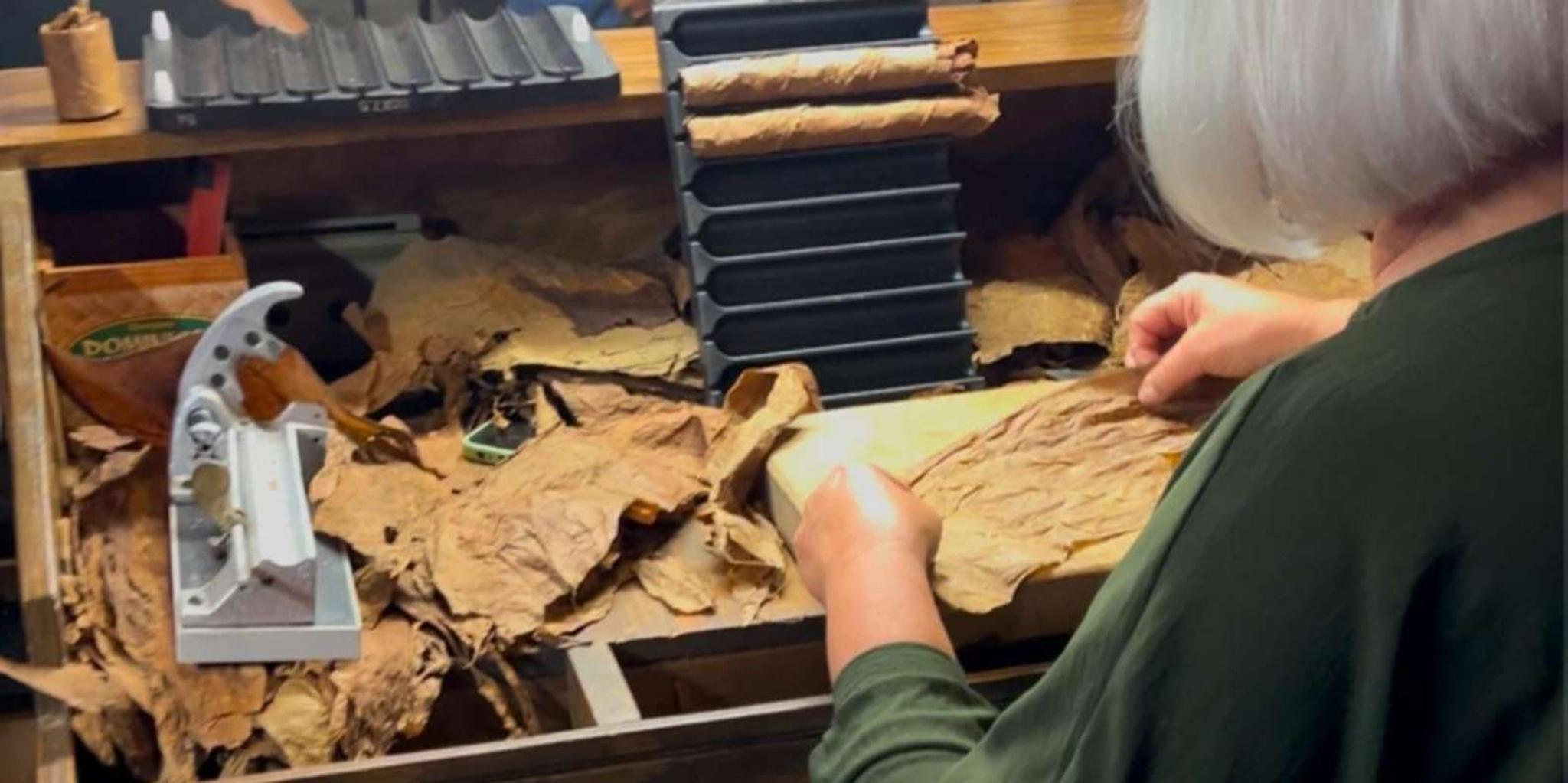 Tampa Cigar City Bus Tour - Image 3