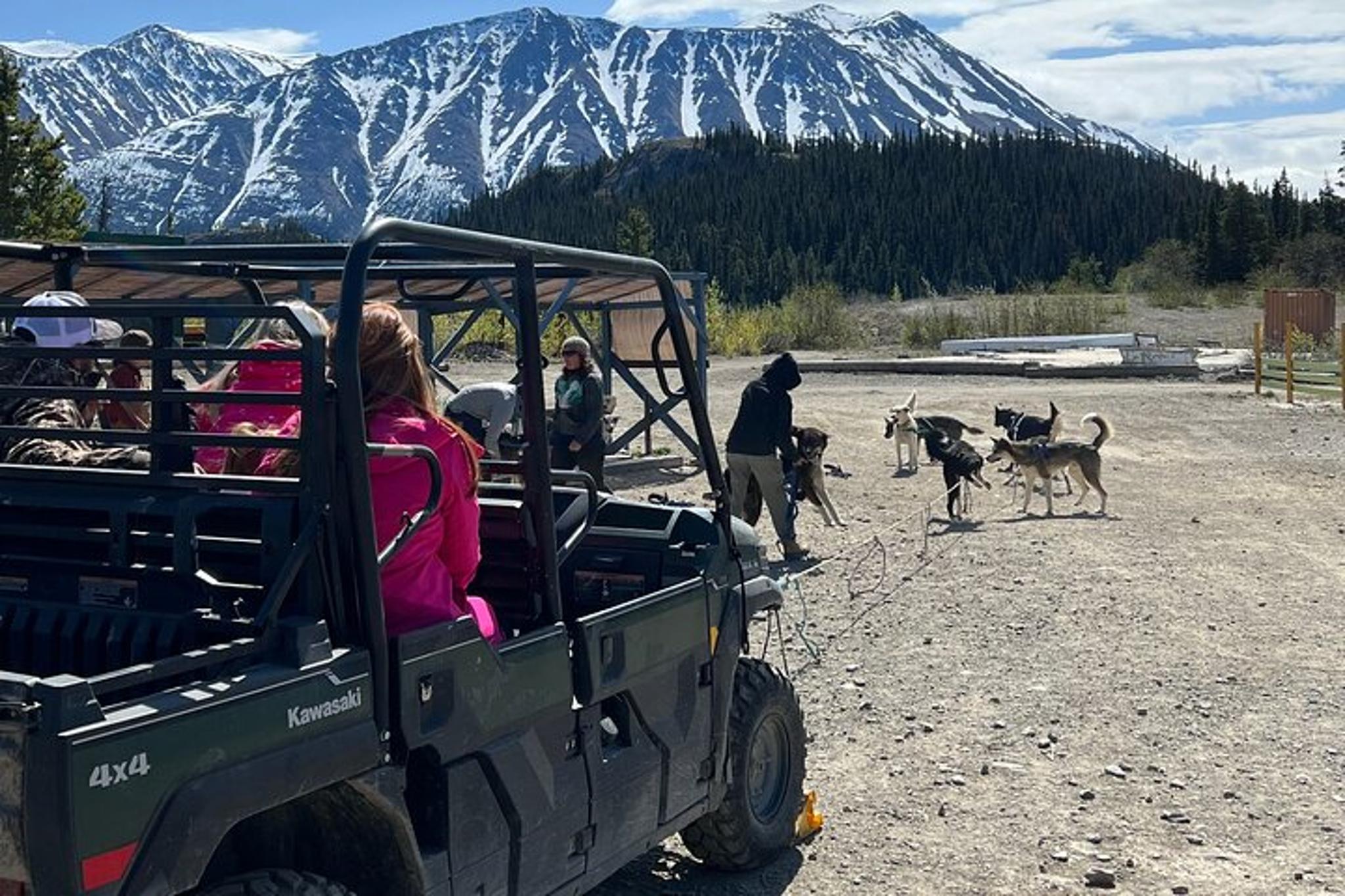 Skagway Dog Mushing and Yukon Experience - Image 1
