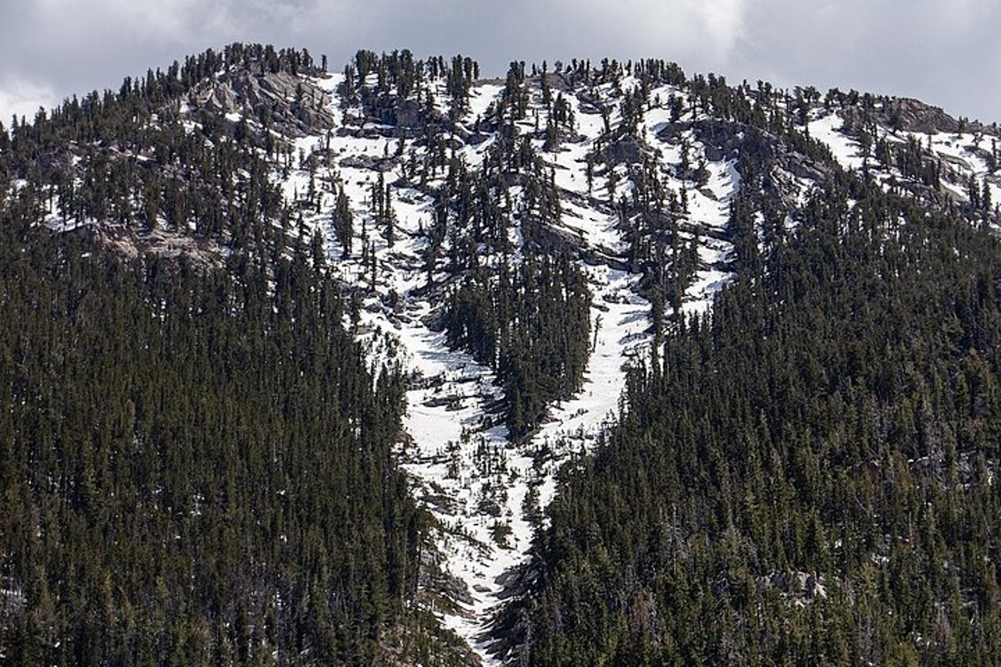 Las Vegas Mount Charleston Hiking Tour - Image 4